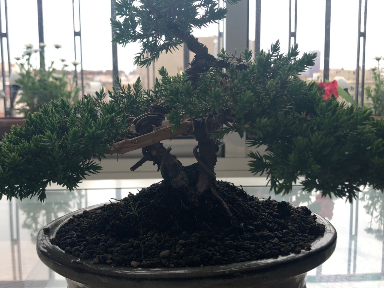 Photo 6