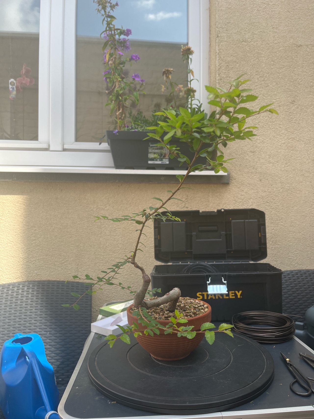 Photo 8