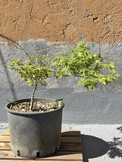 Acero nano