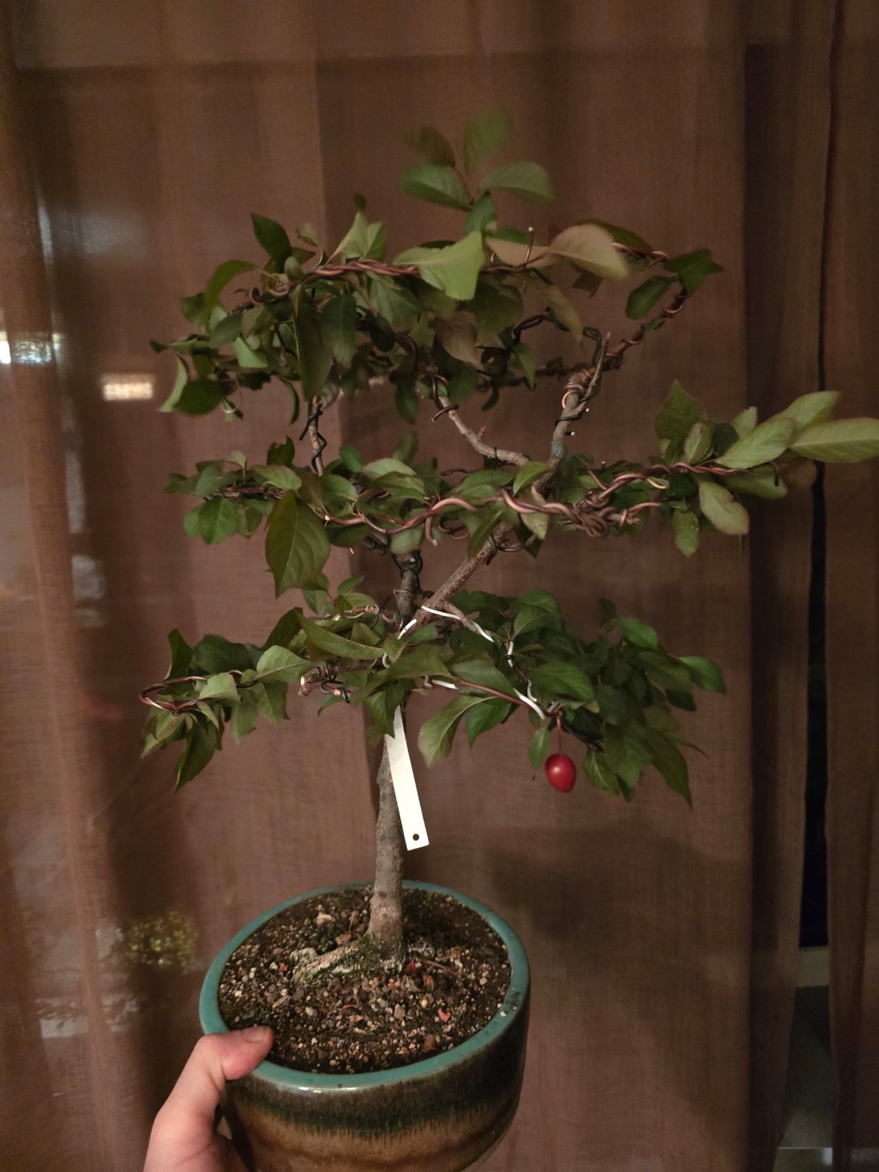 Photo 12