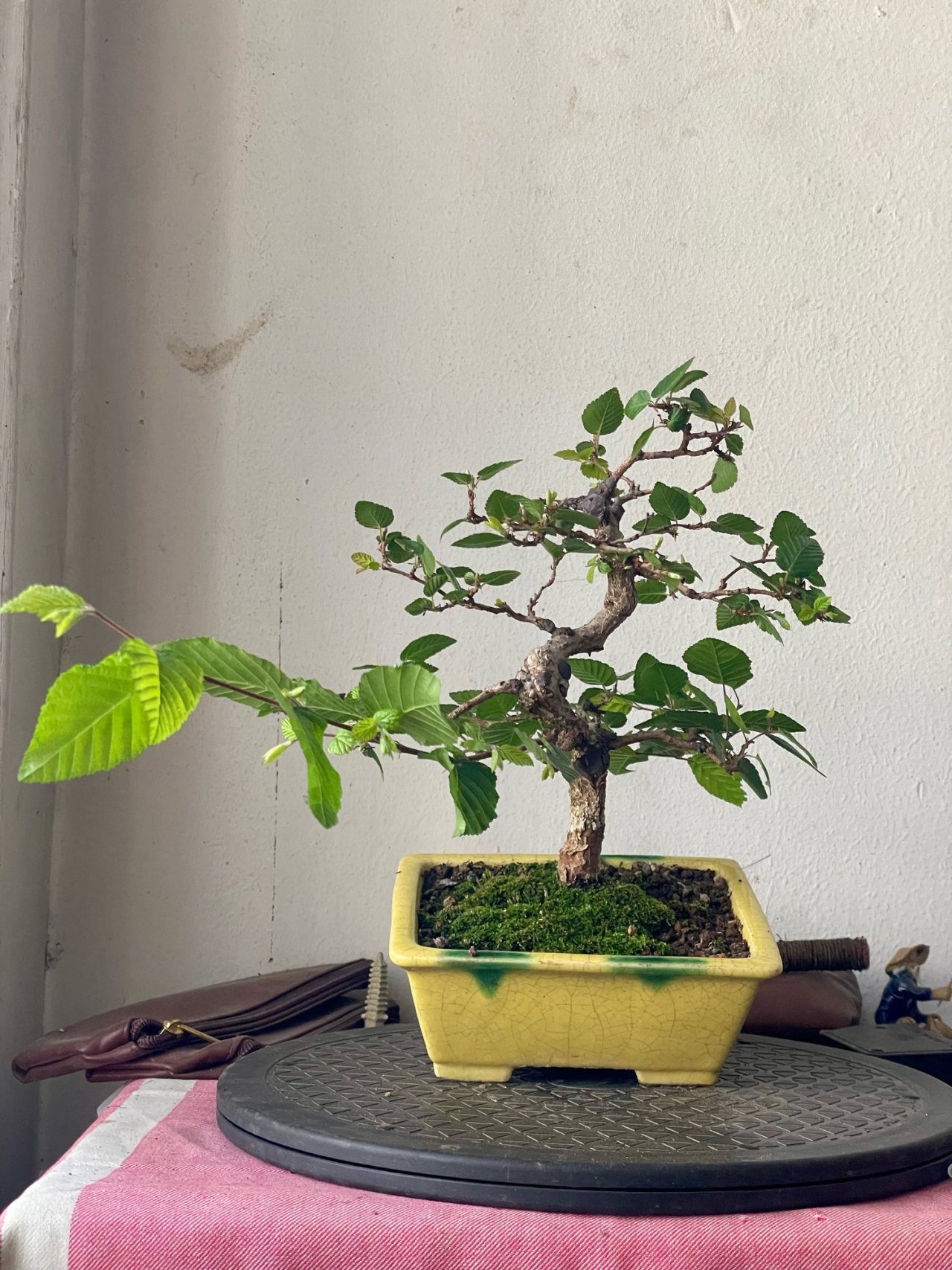 Photo 23
