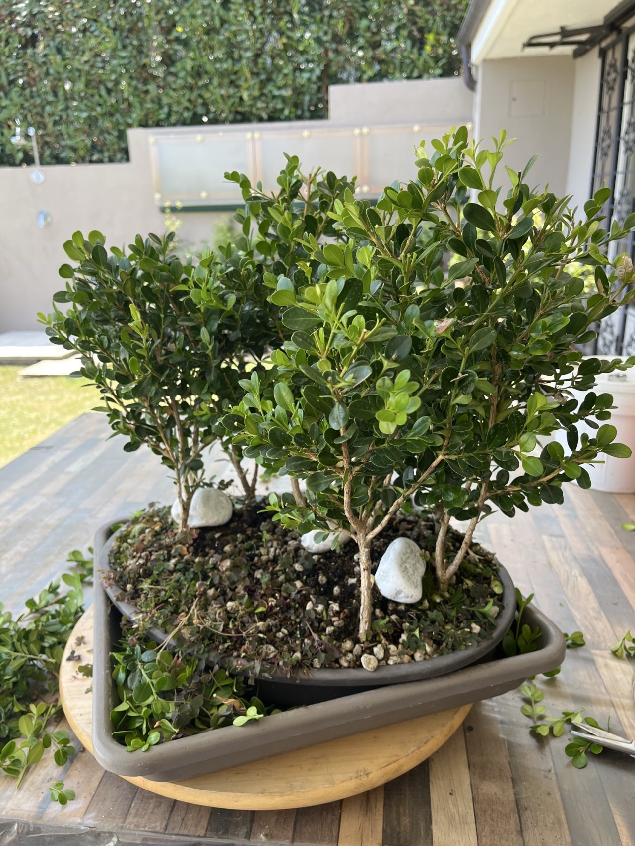 Photo 11