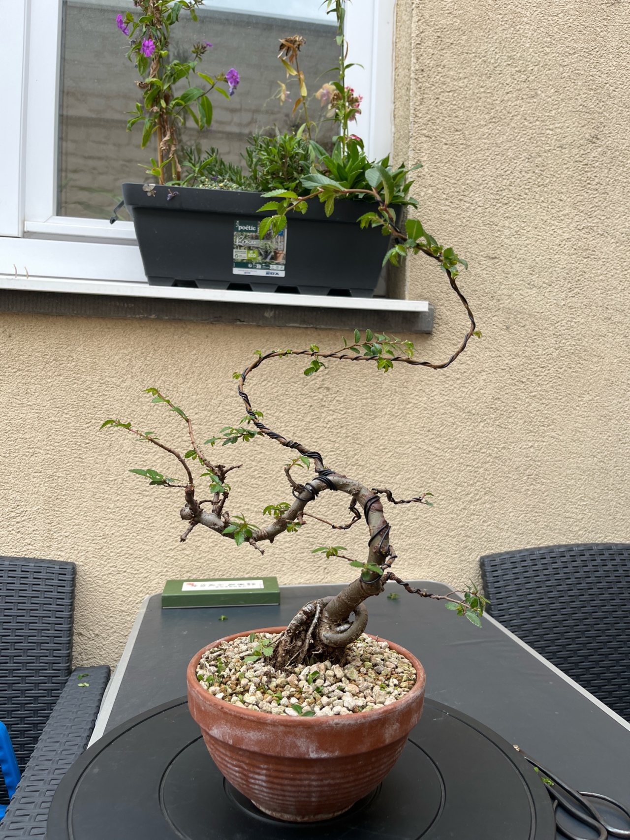 Photo 17