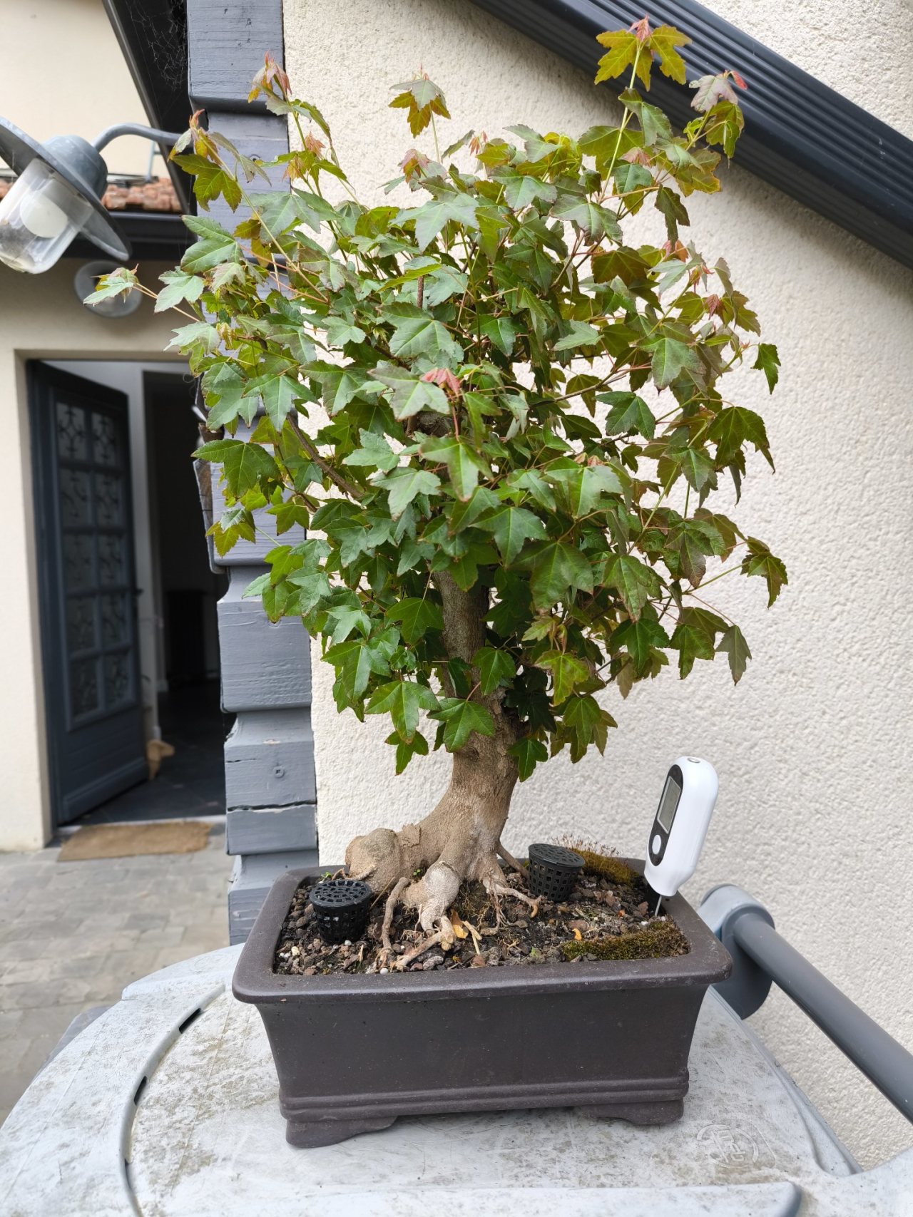 Photo 10