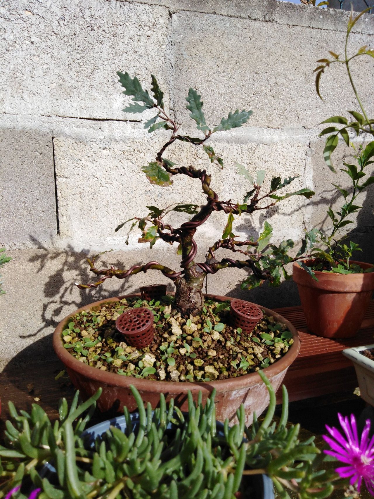 Photo 4