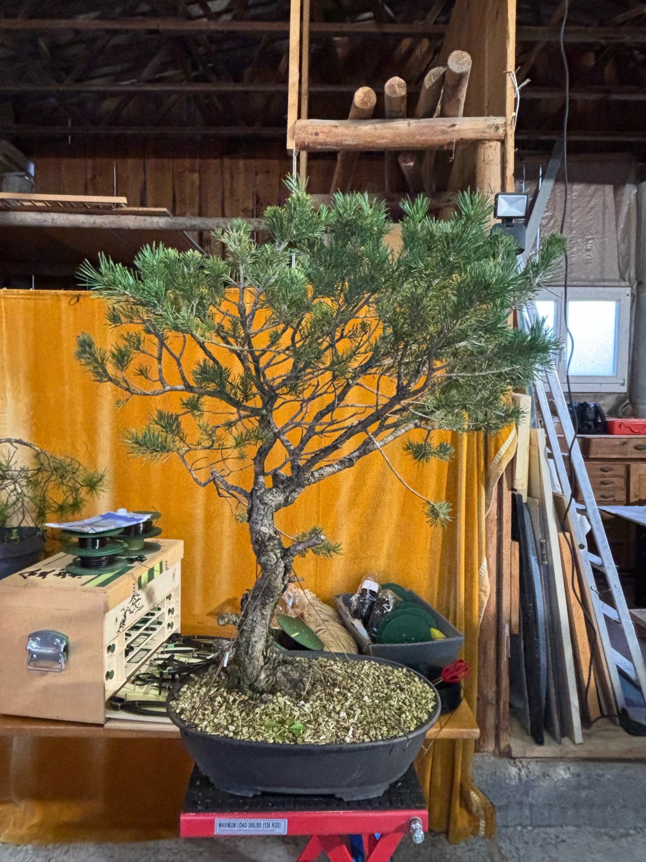 Photo 2