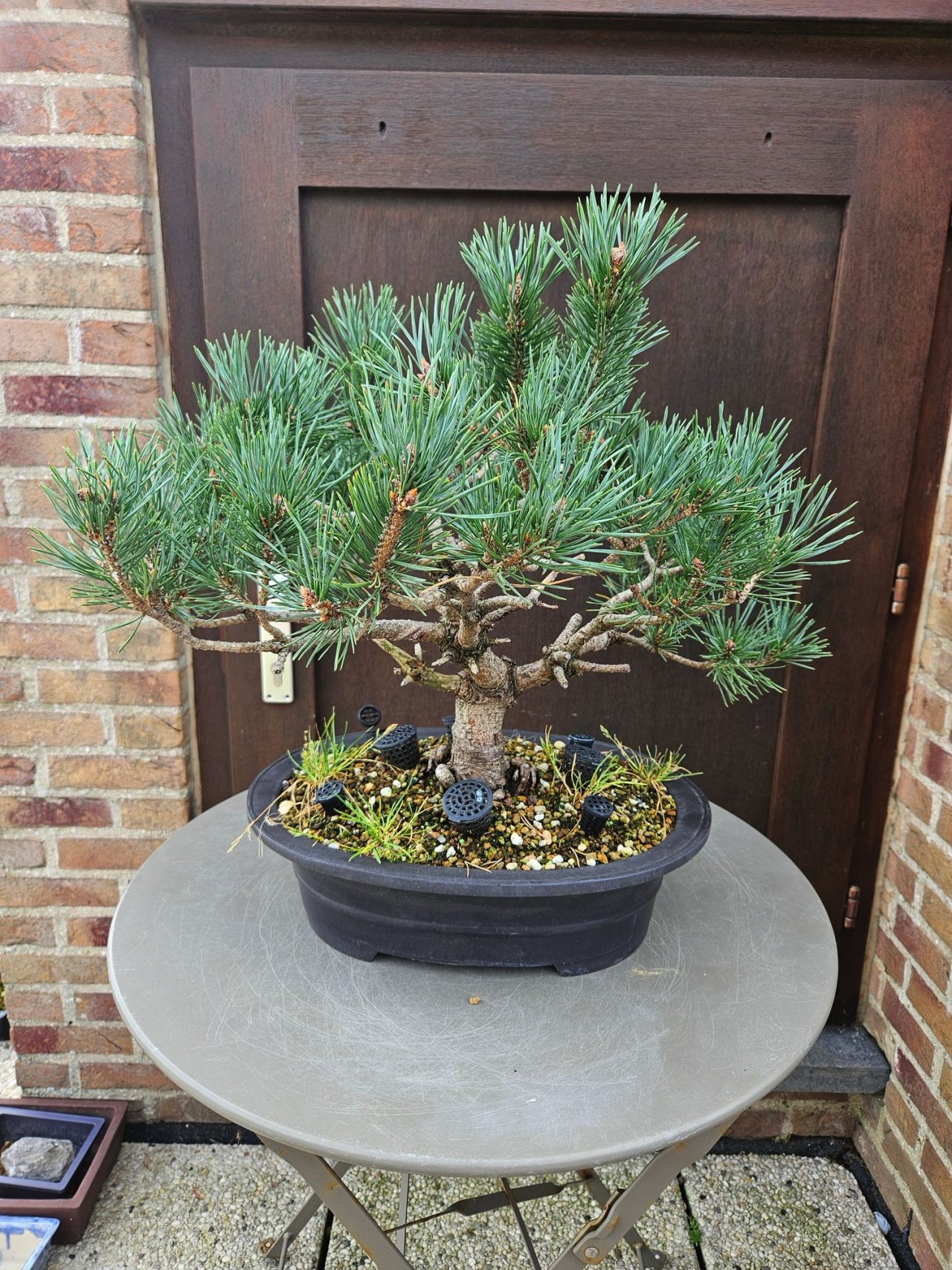 Photo 5