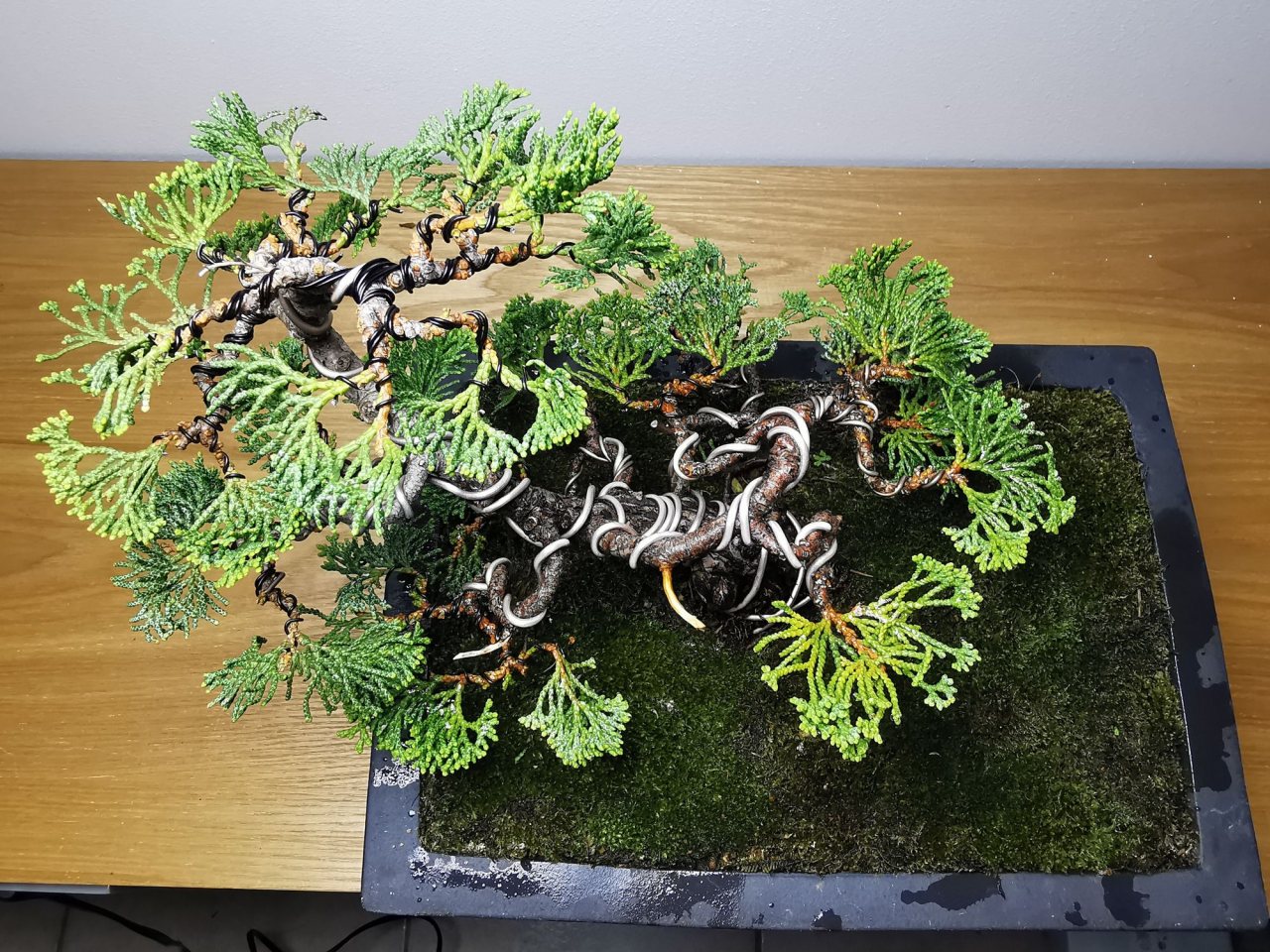 Photo 20