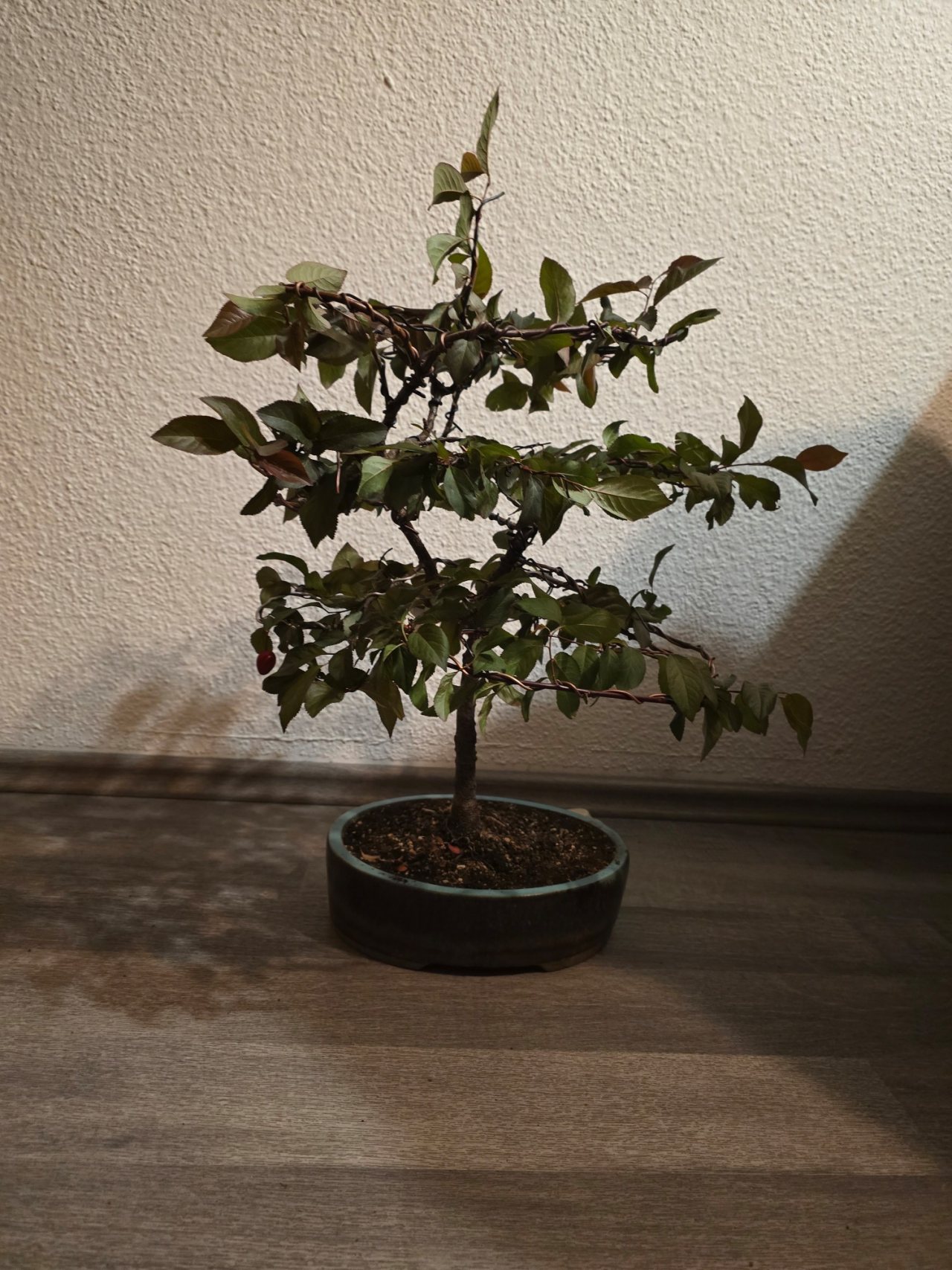Photo 3