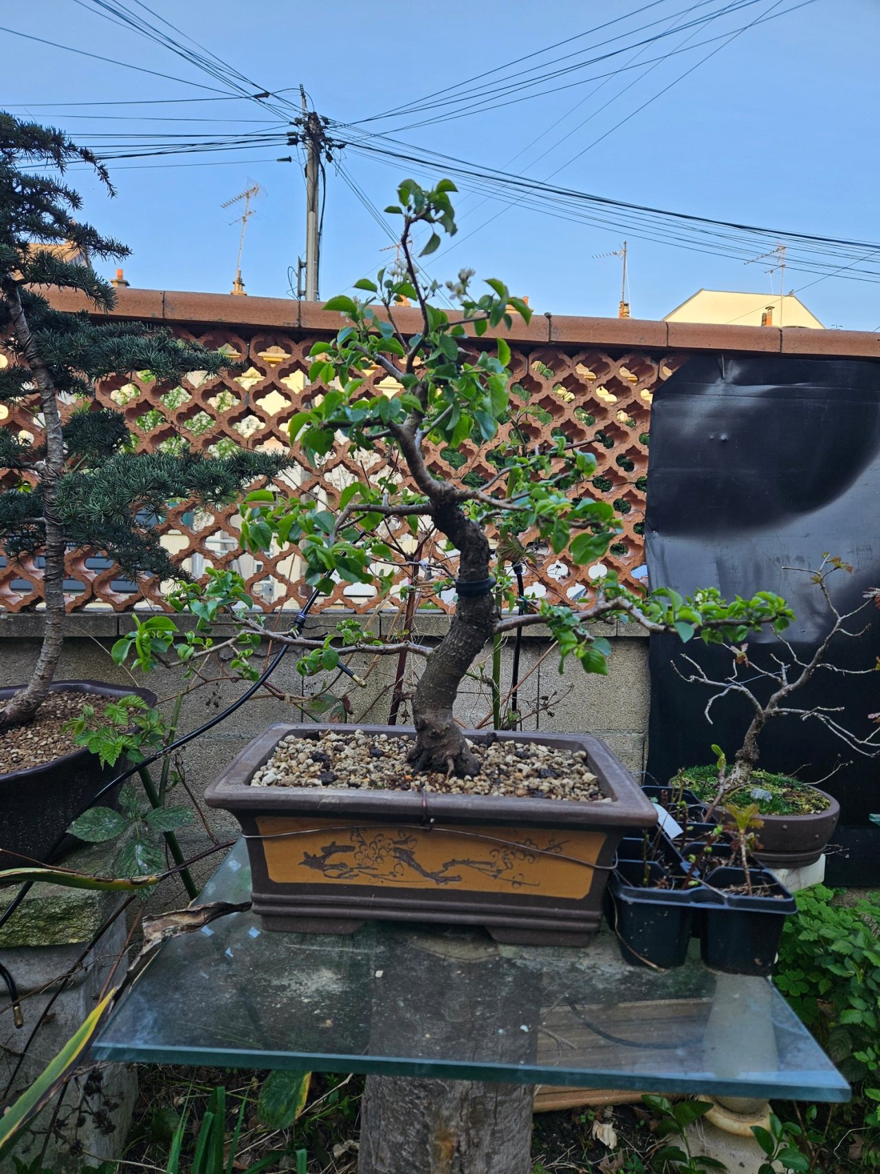 Photo 22