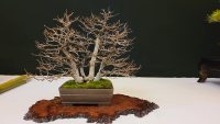 Ausstellung - 24.10.21 - Photo 1/2