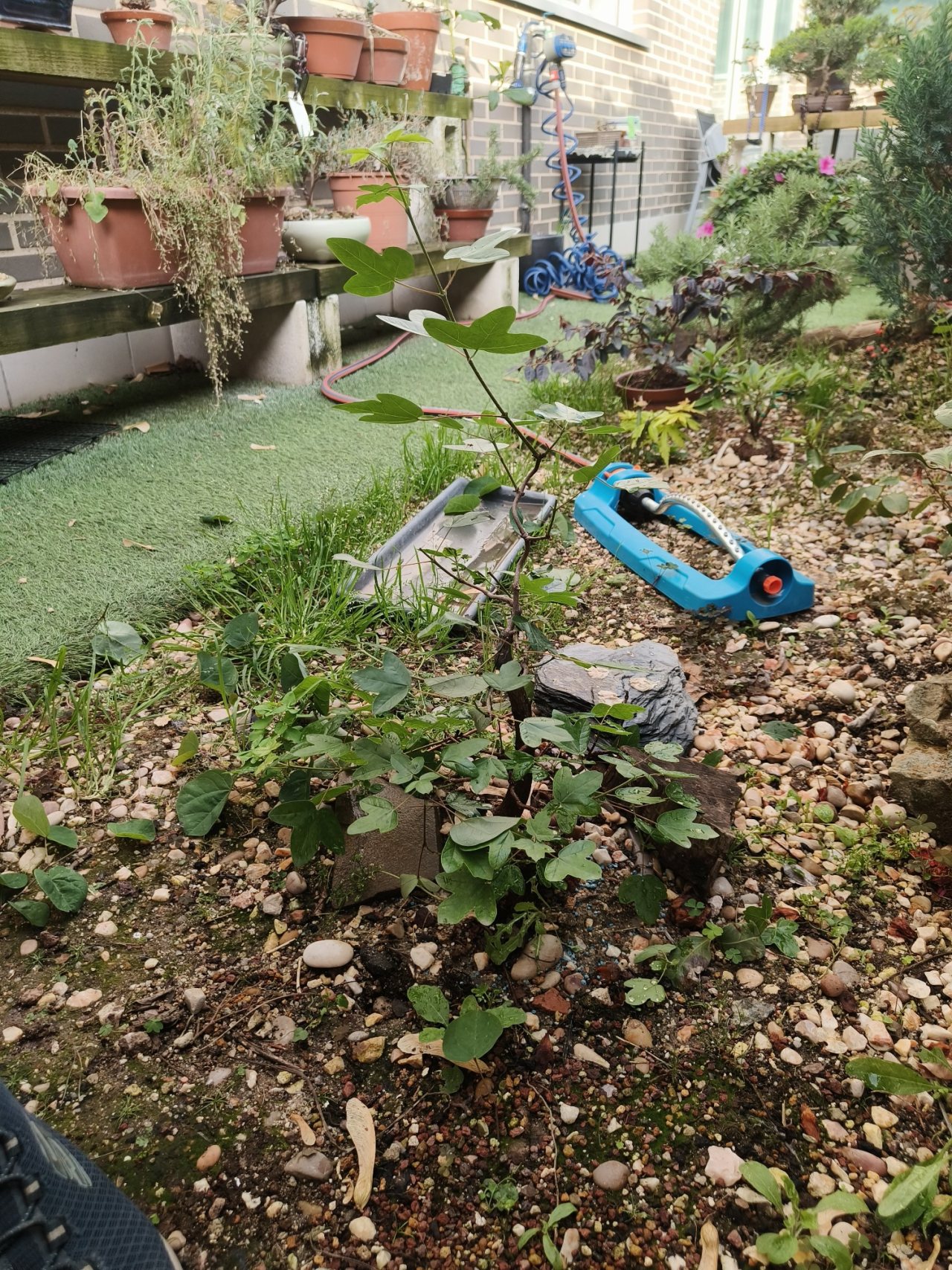 Photo 5