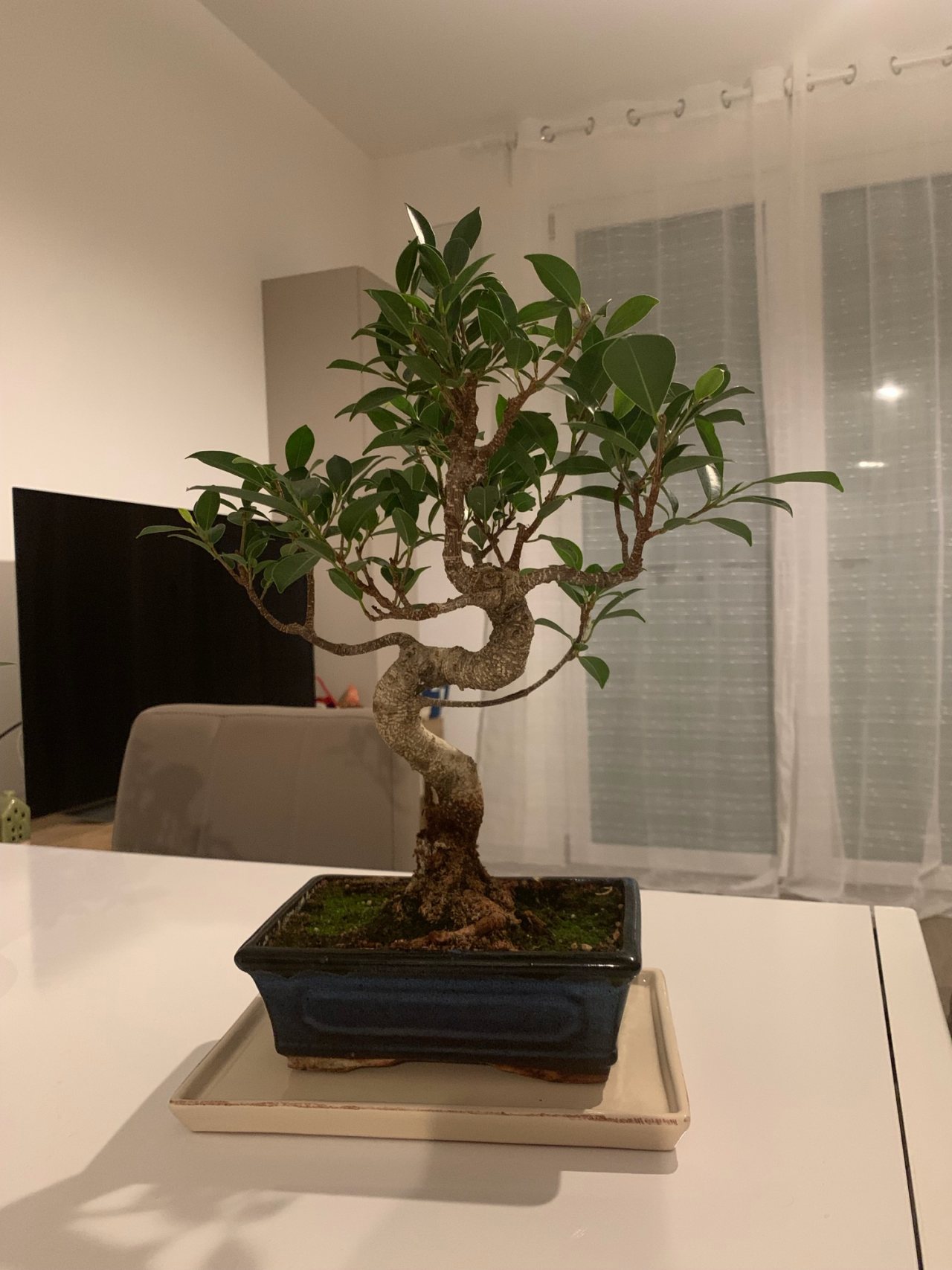 Photo 4