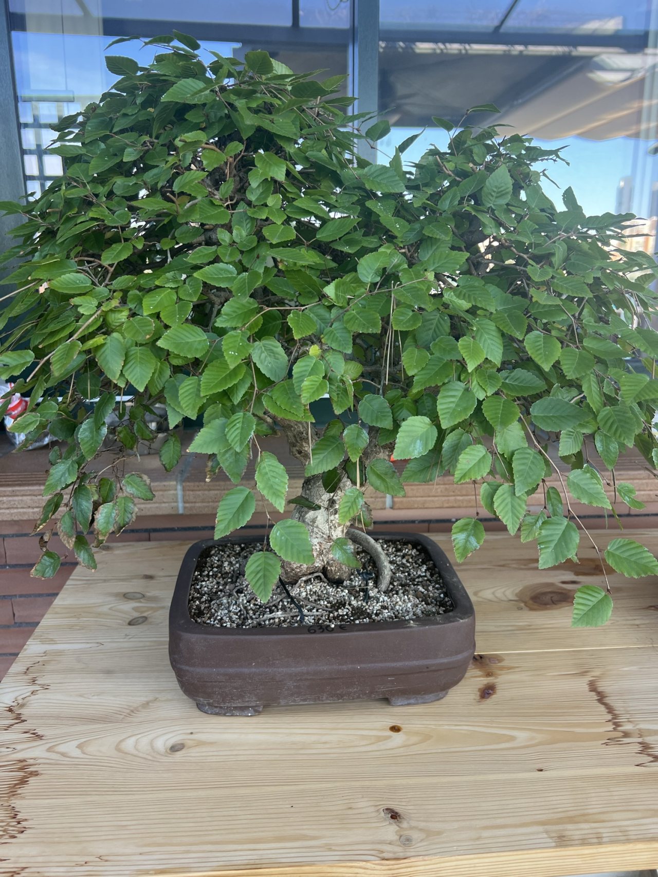 Photo 8