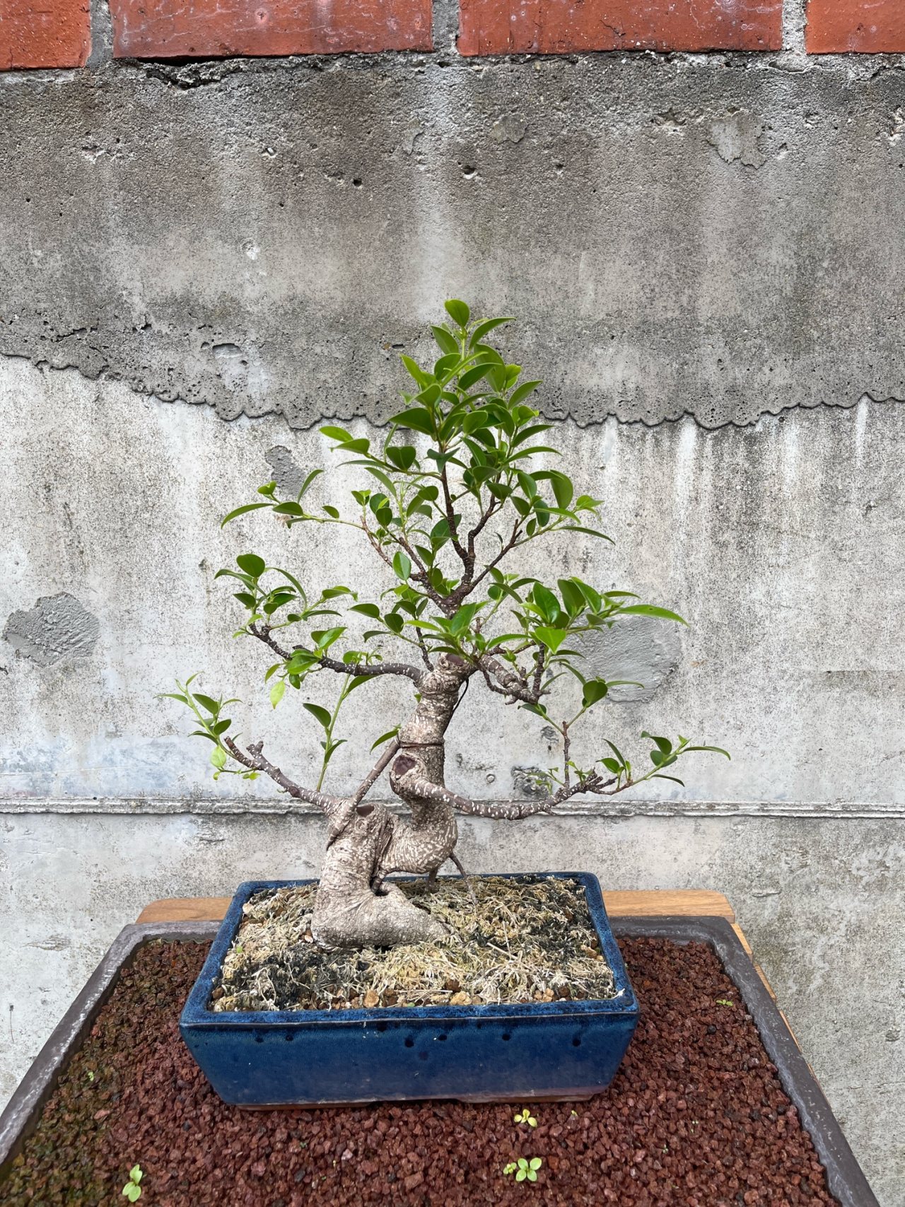 Photo 16