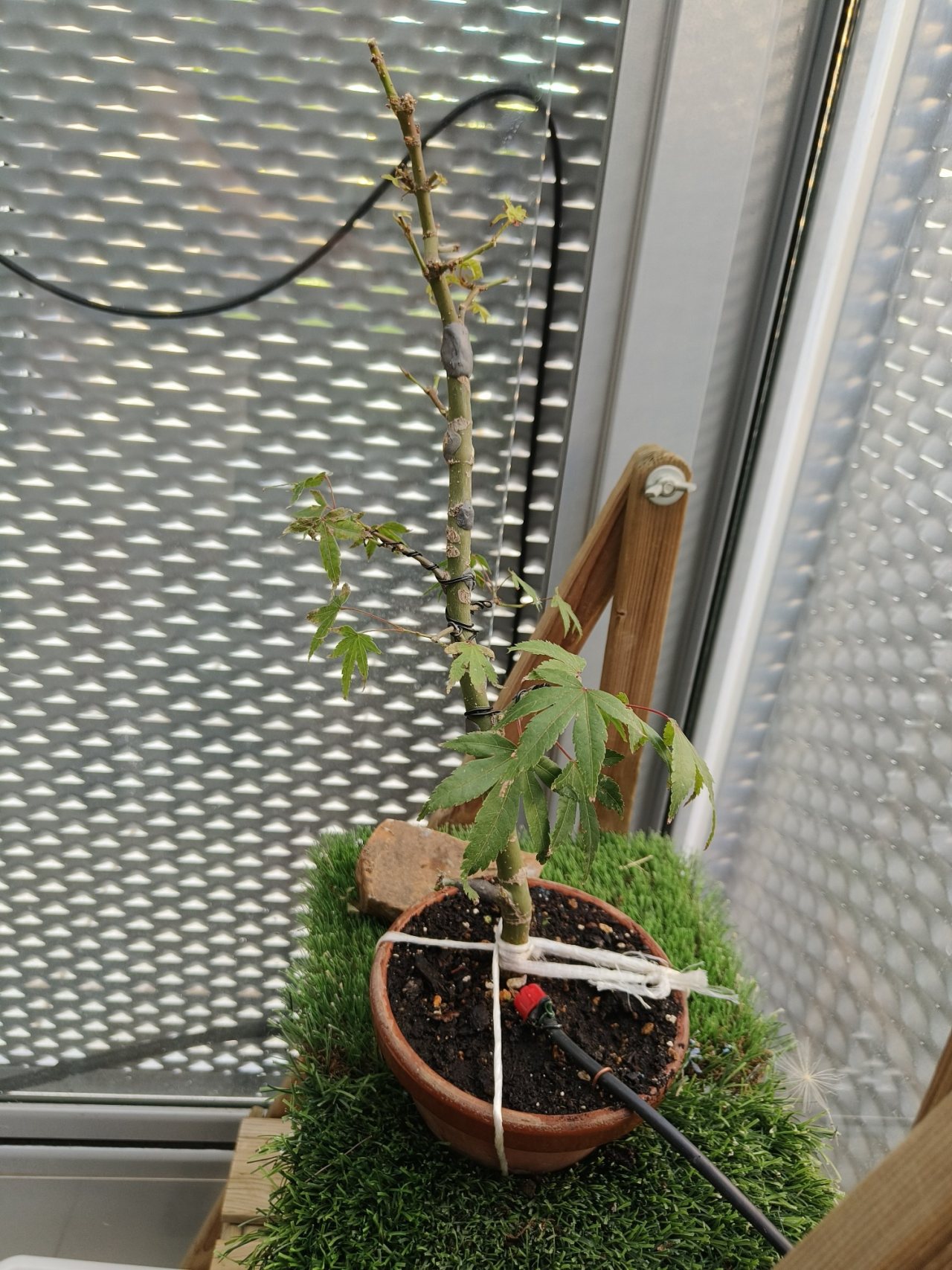 Photo 19