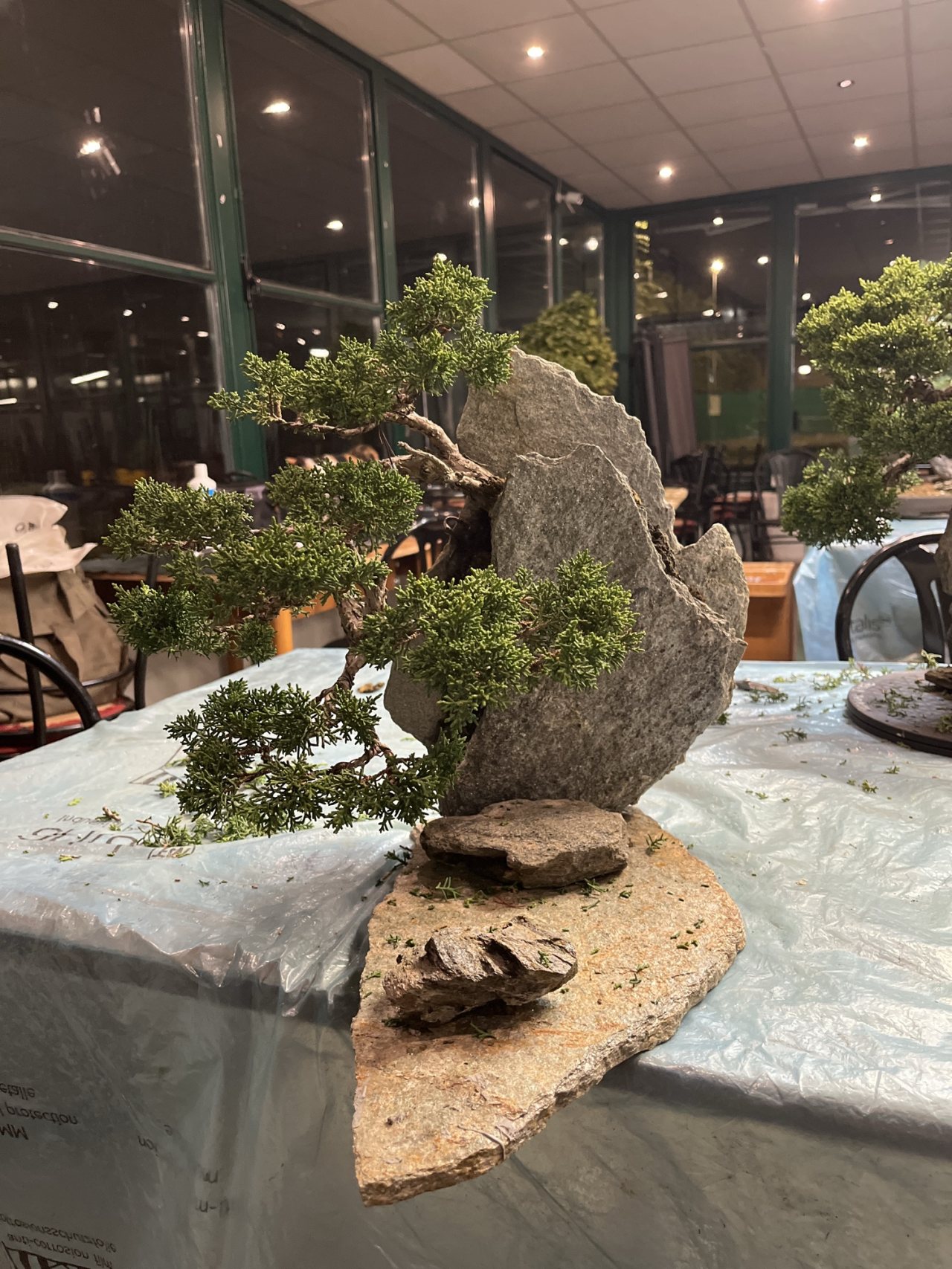 Photo 19