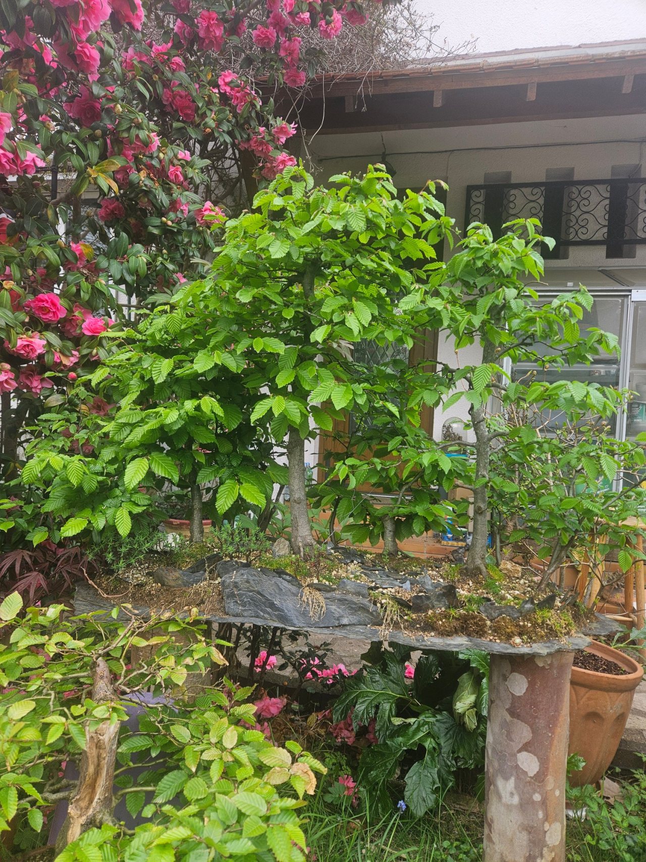 Photo 16