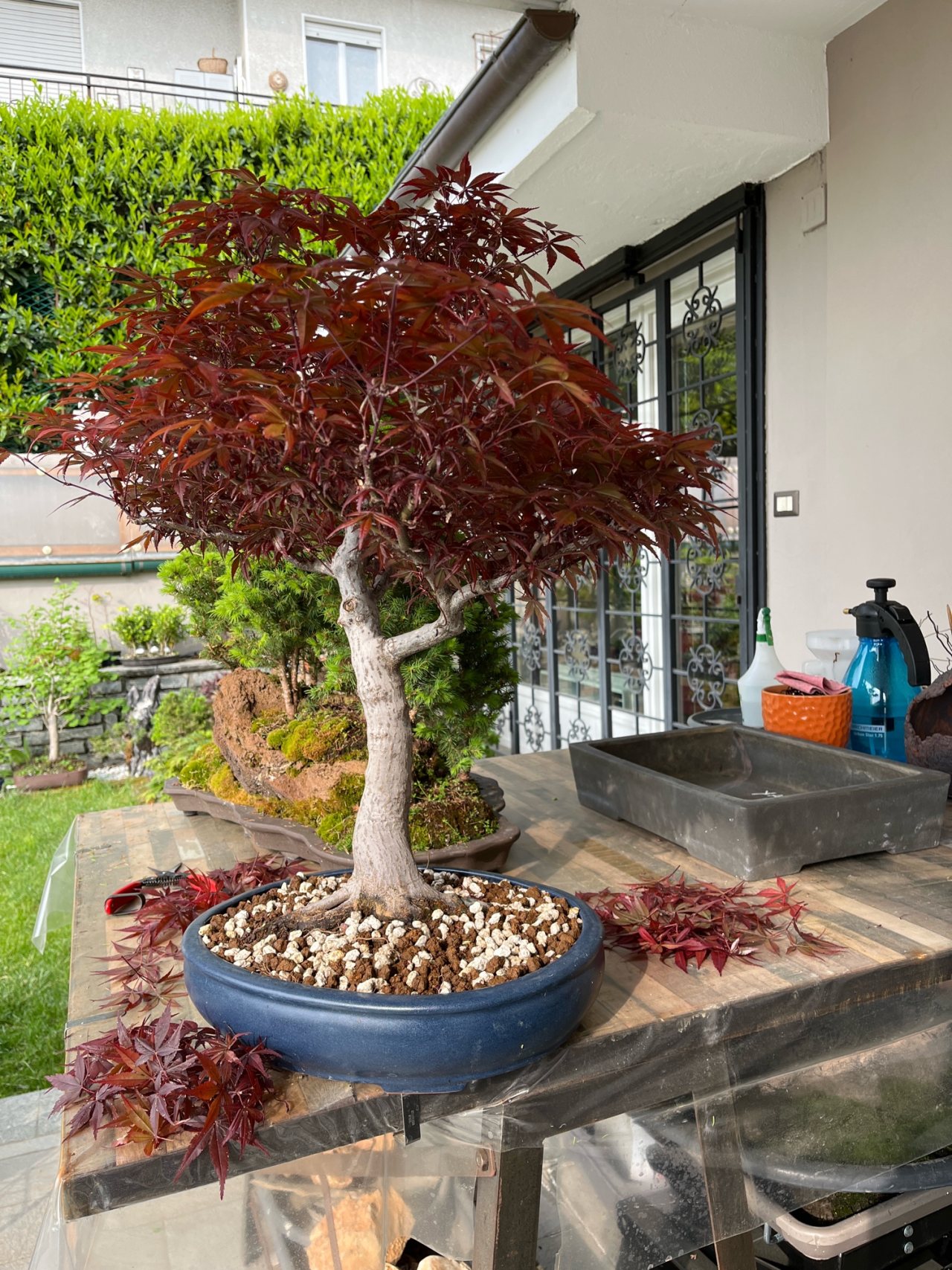 Photo 11