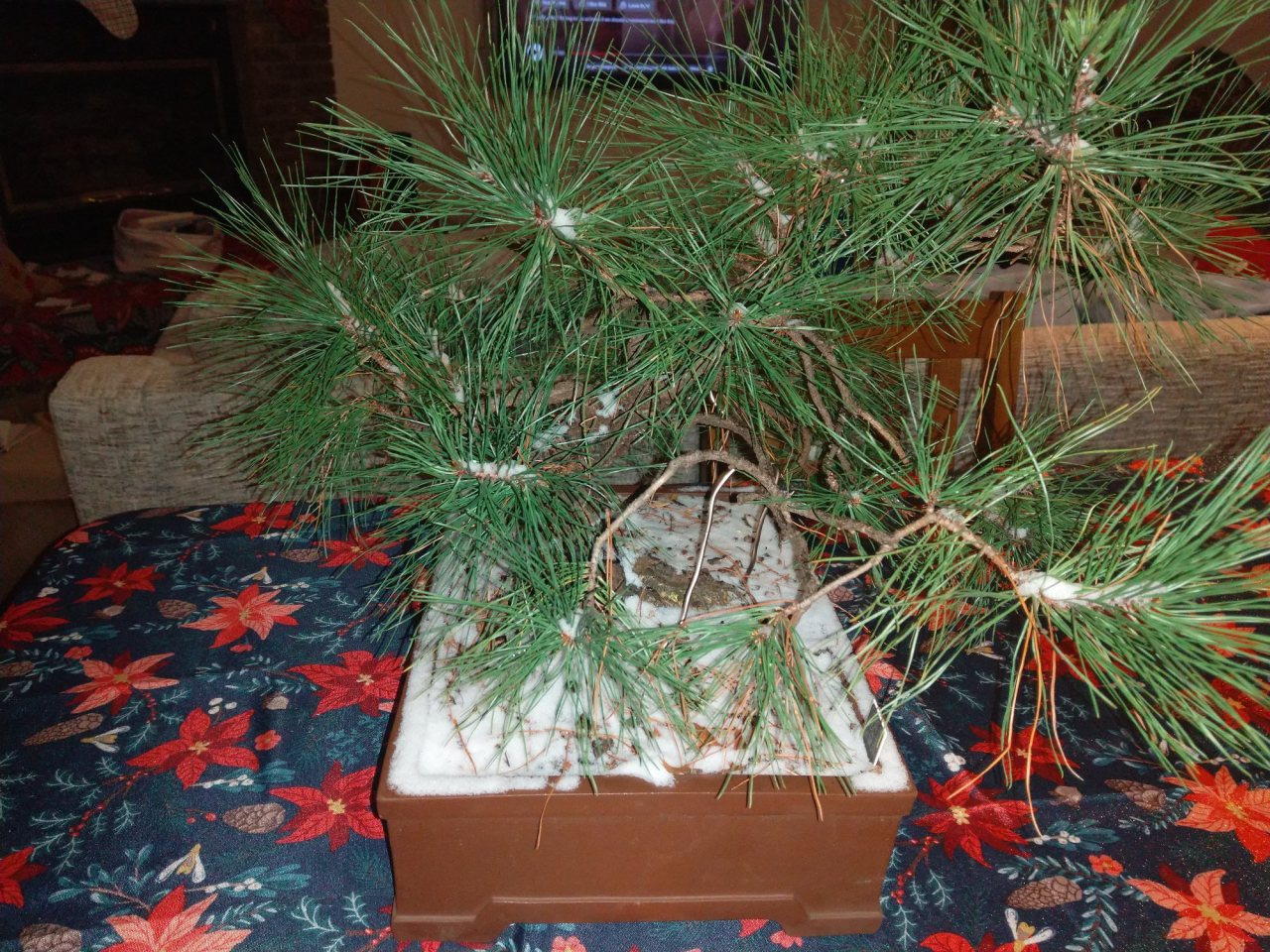 Photo 6