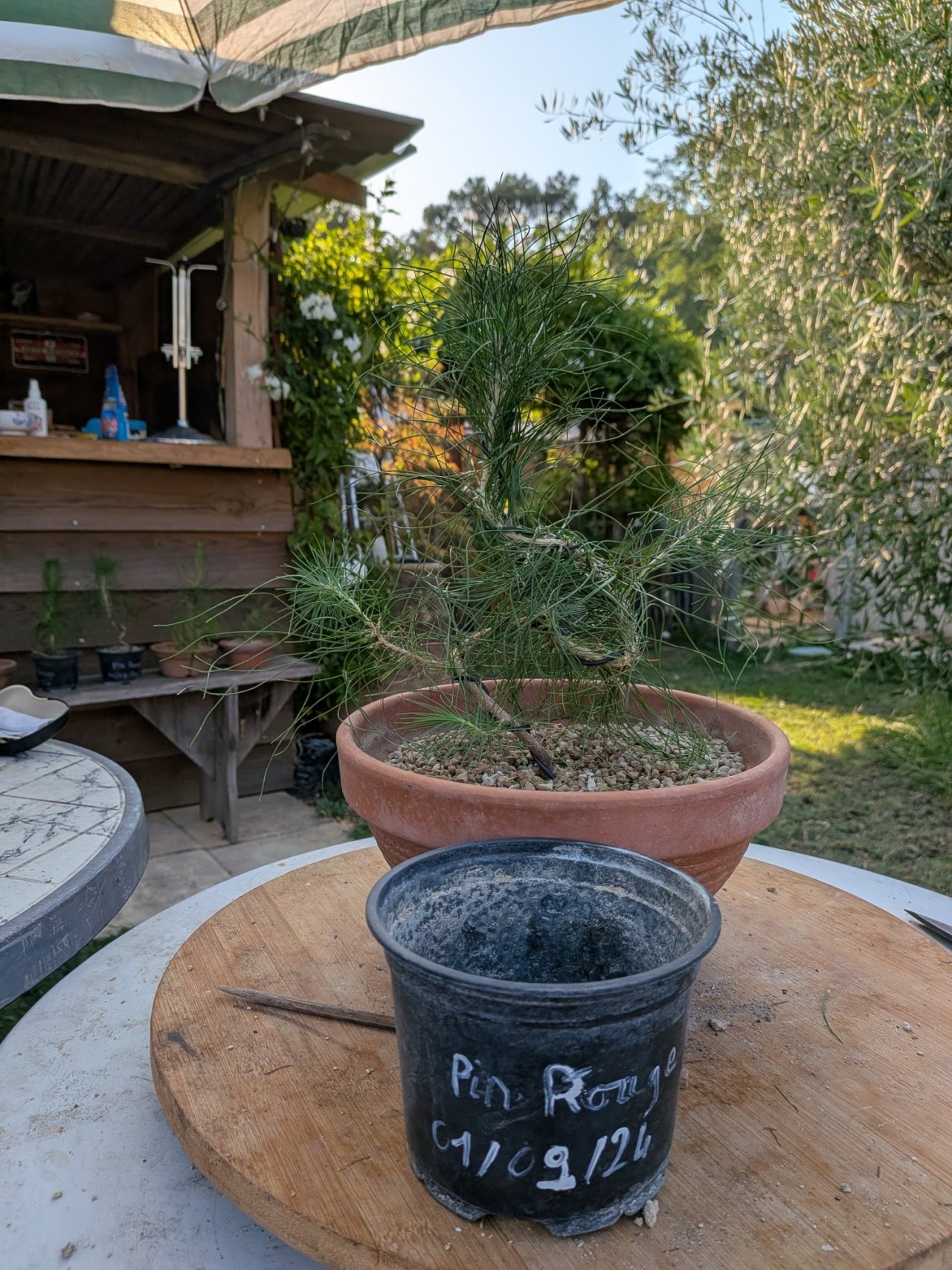 Photo 11