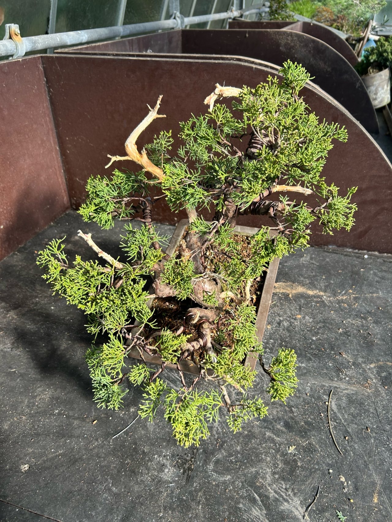 Photo 7