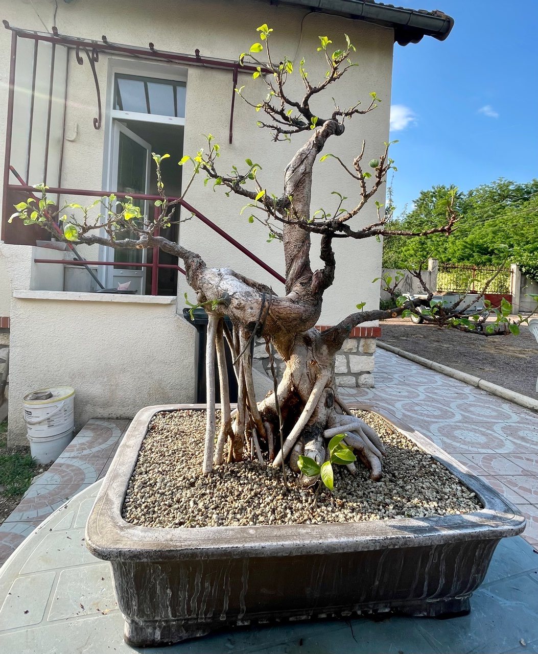 Photo 22