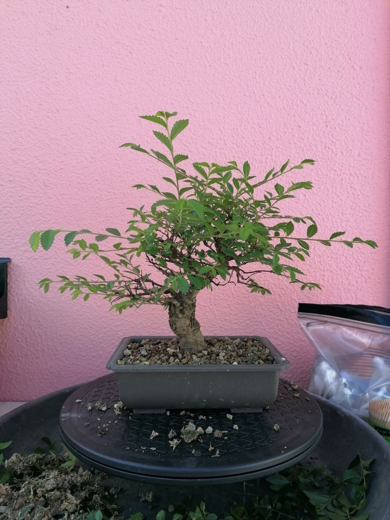 Photo 3