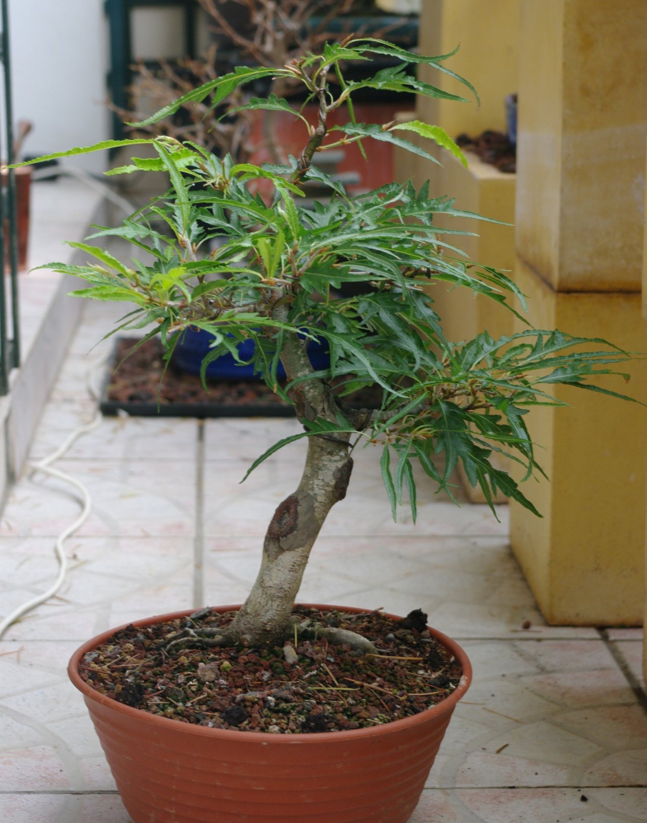 Photo 10