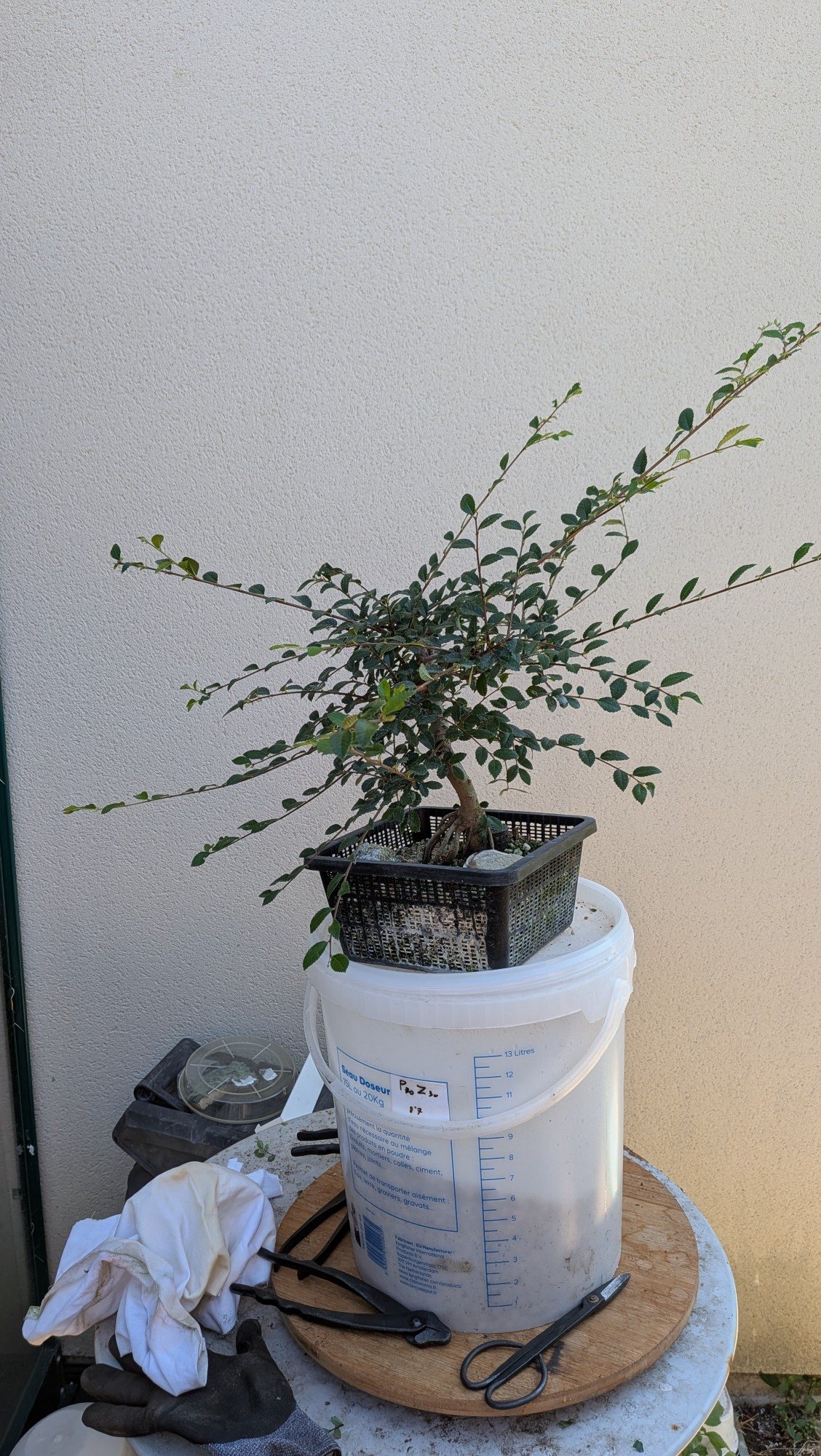 Photo 6