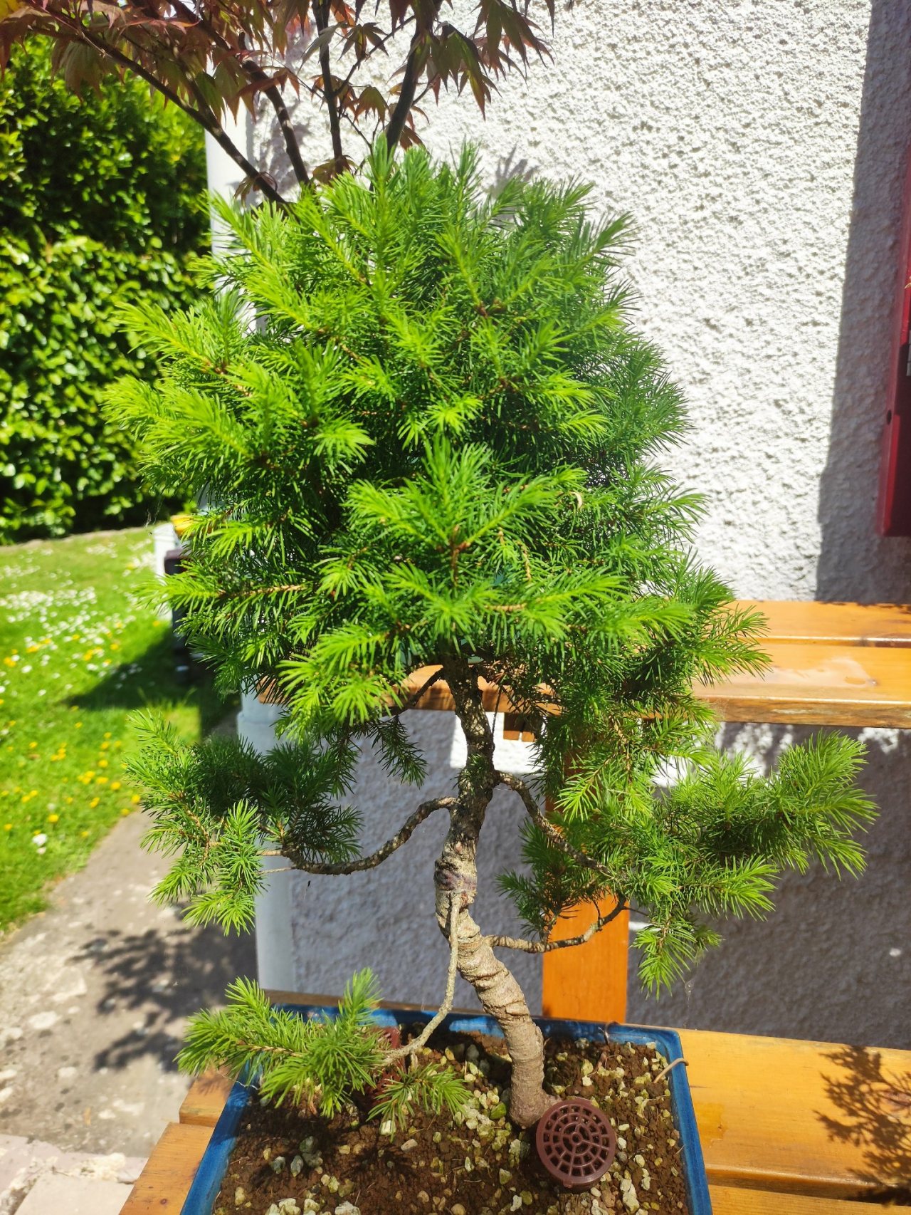 Photo 3