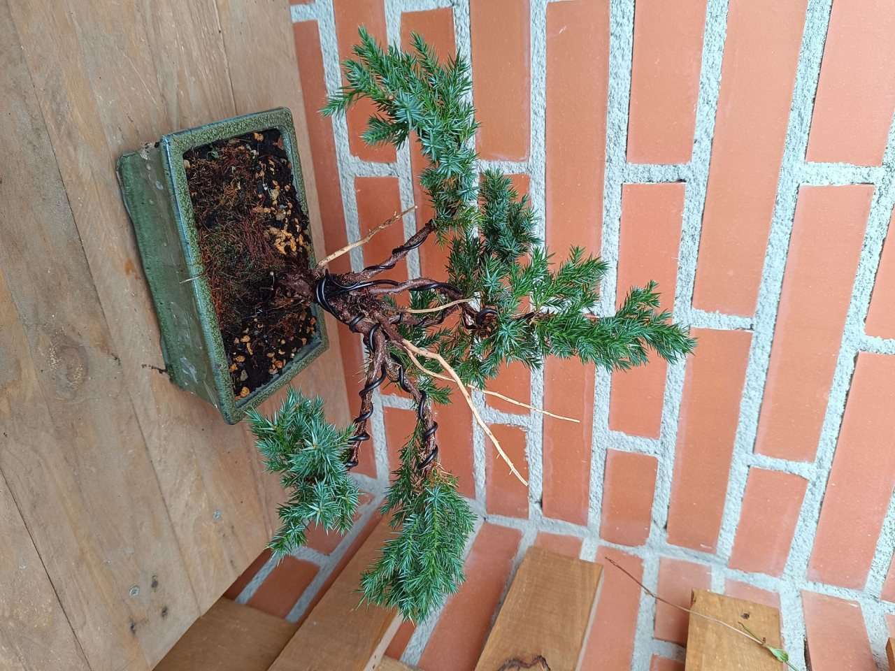 Photo 4