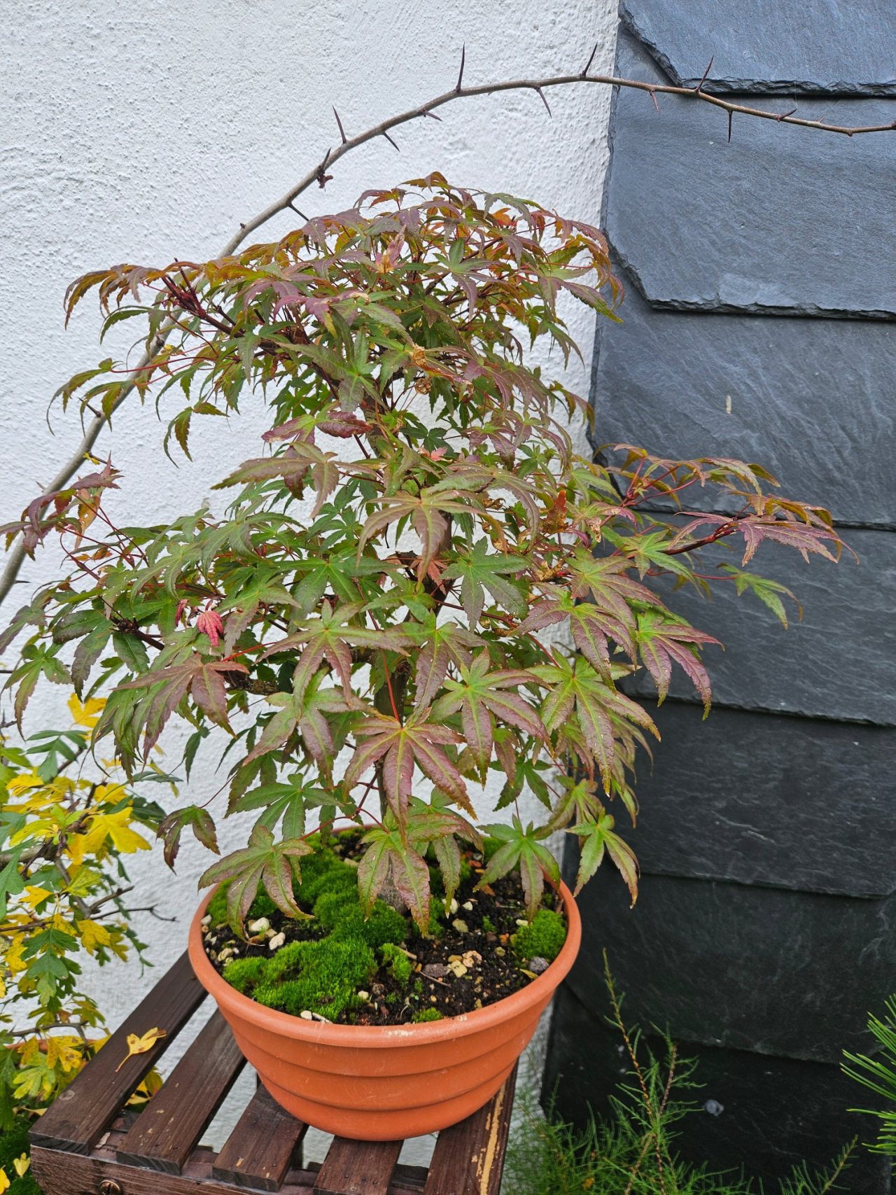 Photo 13