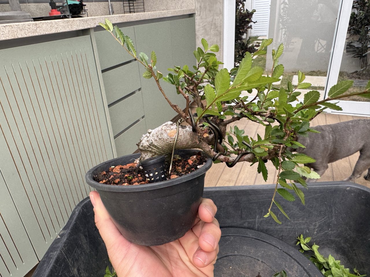 Photo 19