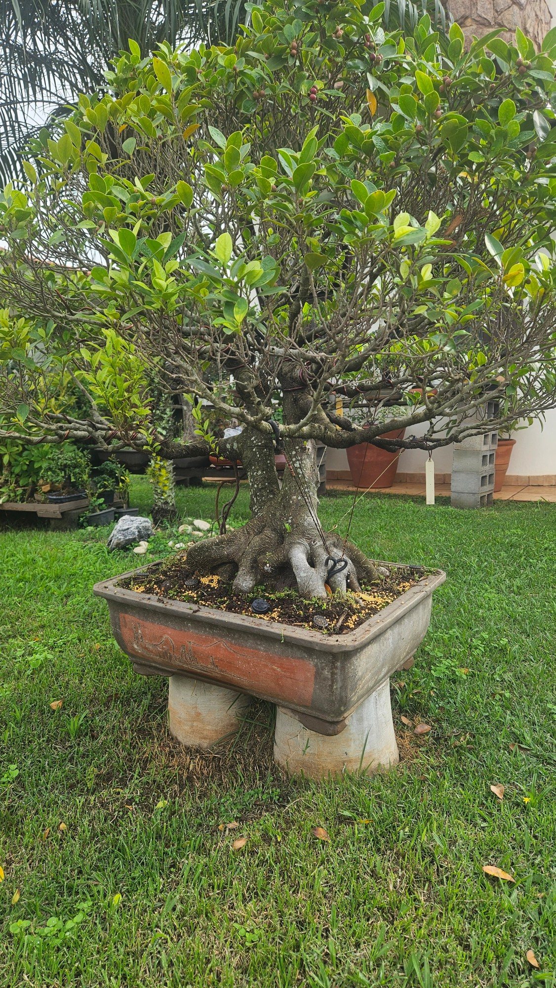 Photo 5