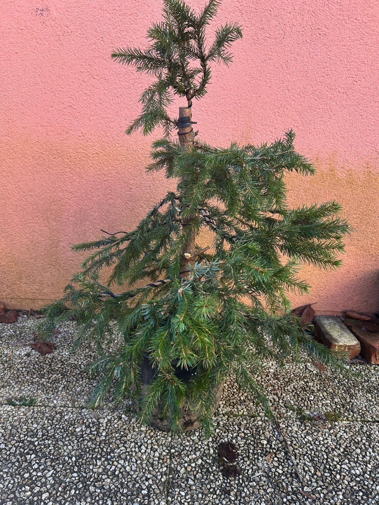 Photo 3