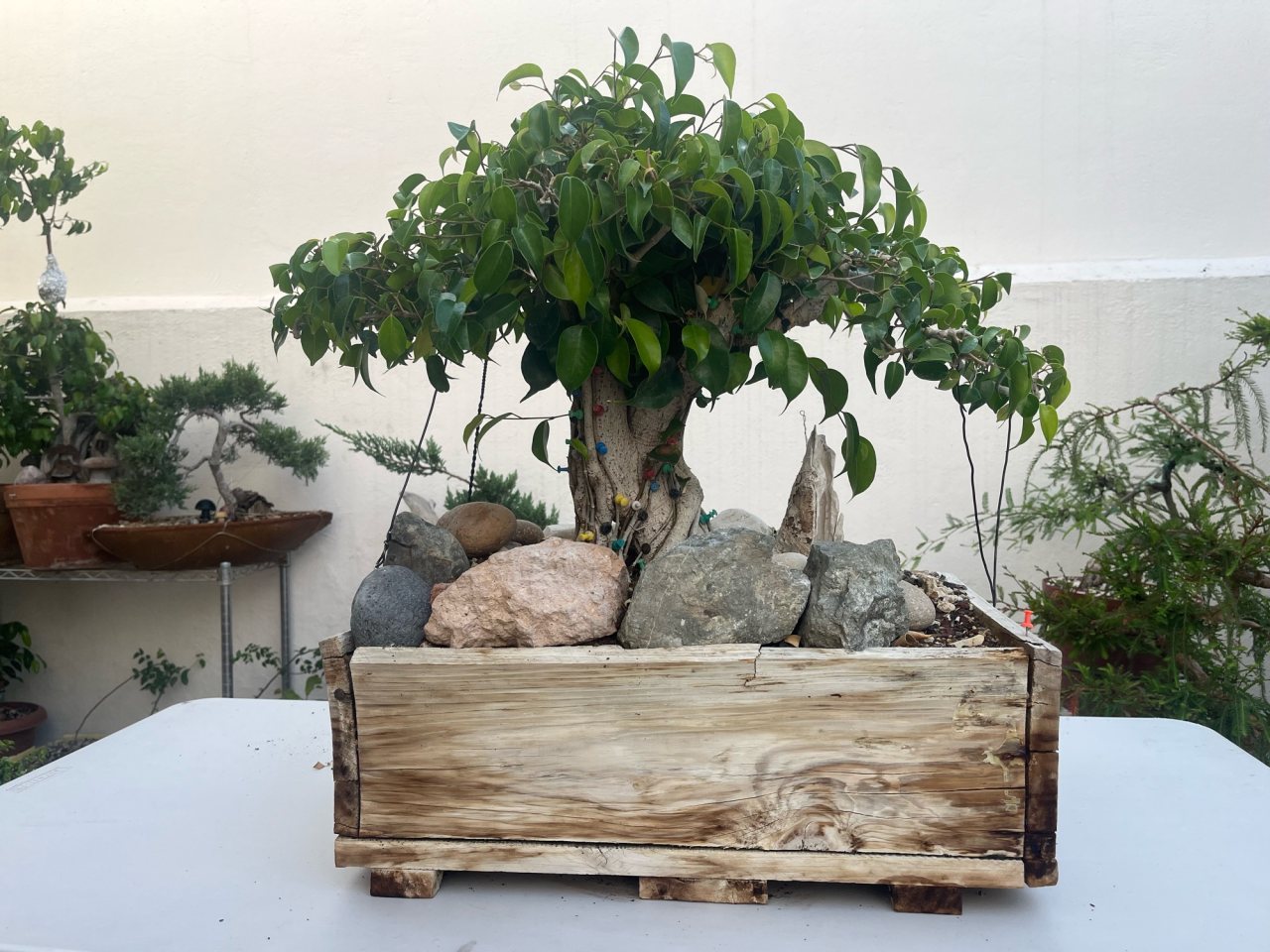 Photo 2
