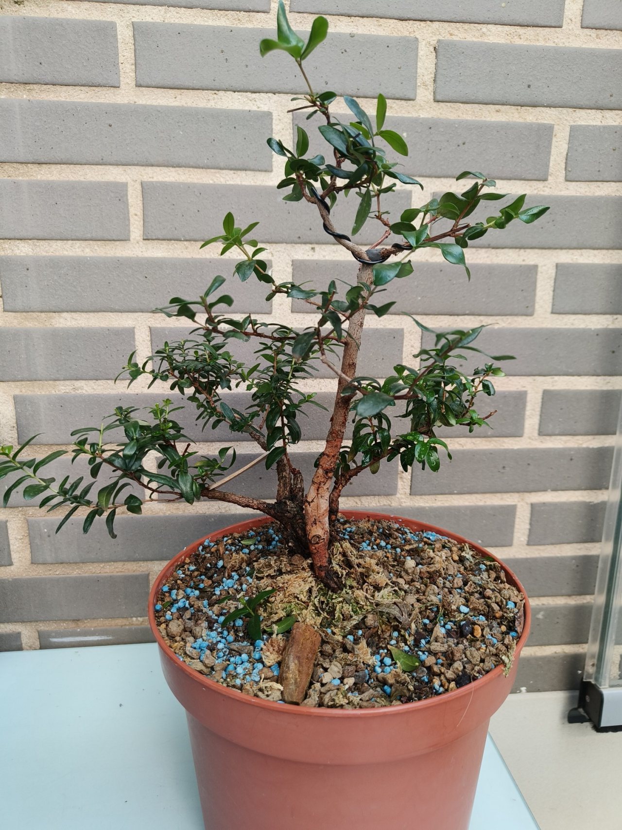 Photo 18