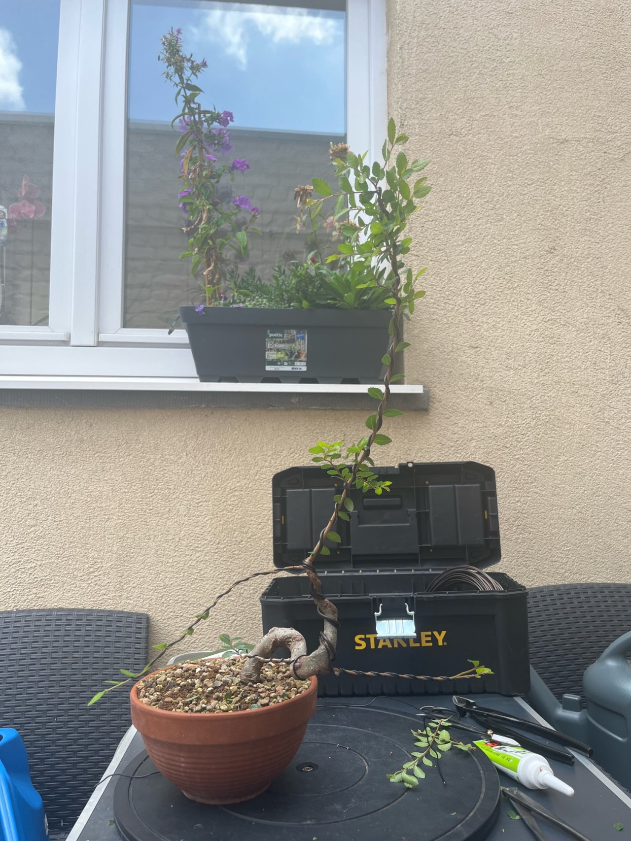 Photo 13