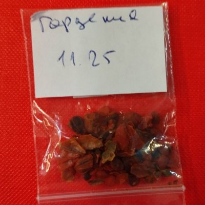 Гардения жасминовидная ГЖа01с
