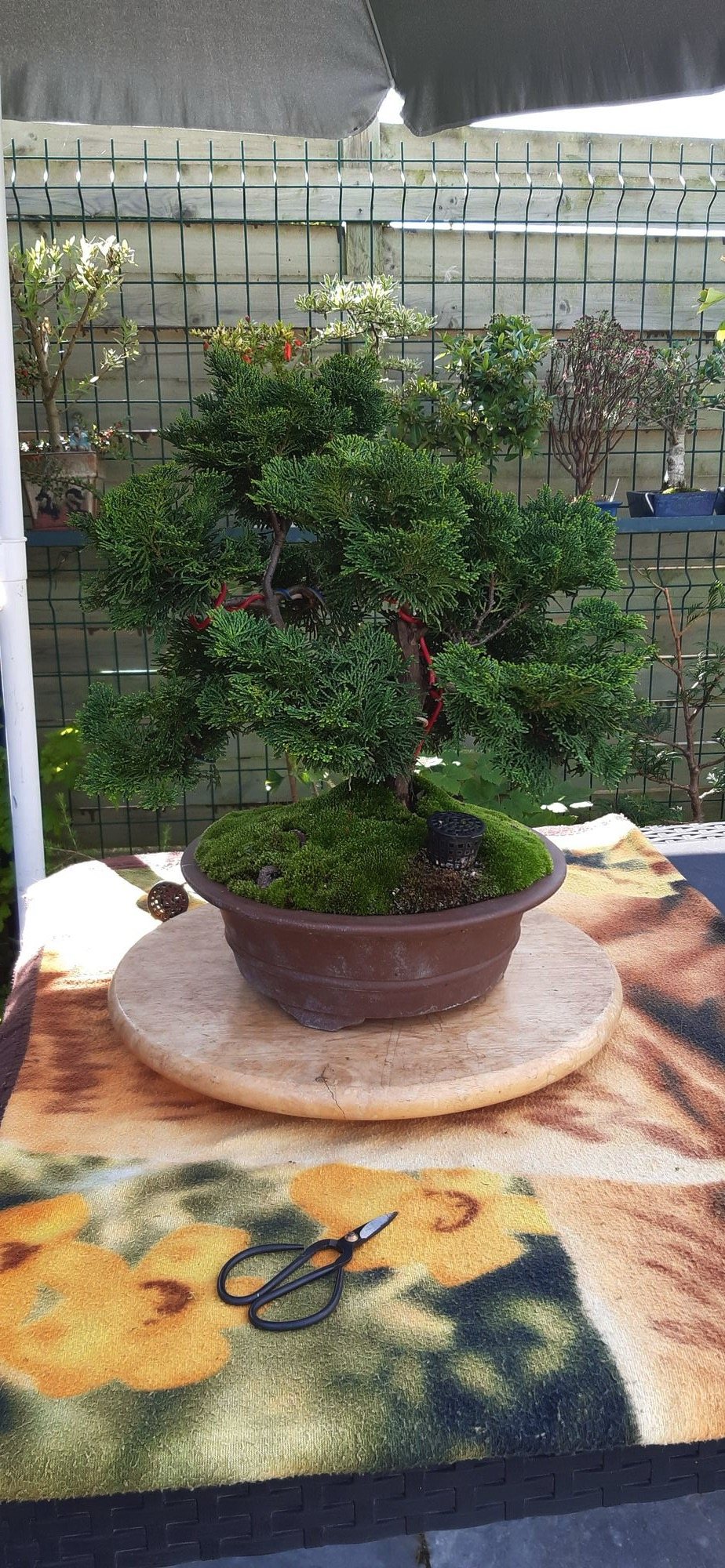 Photo 2