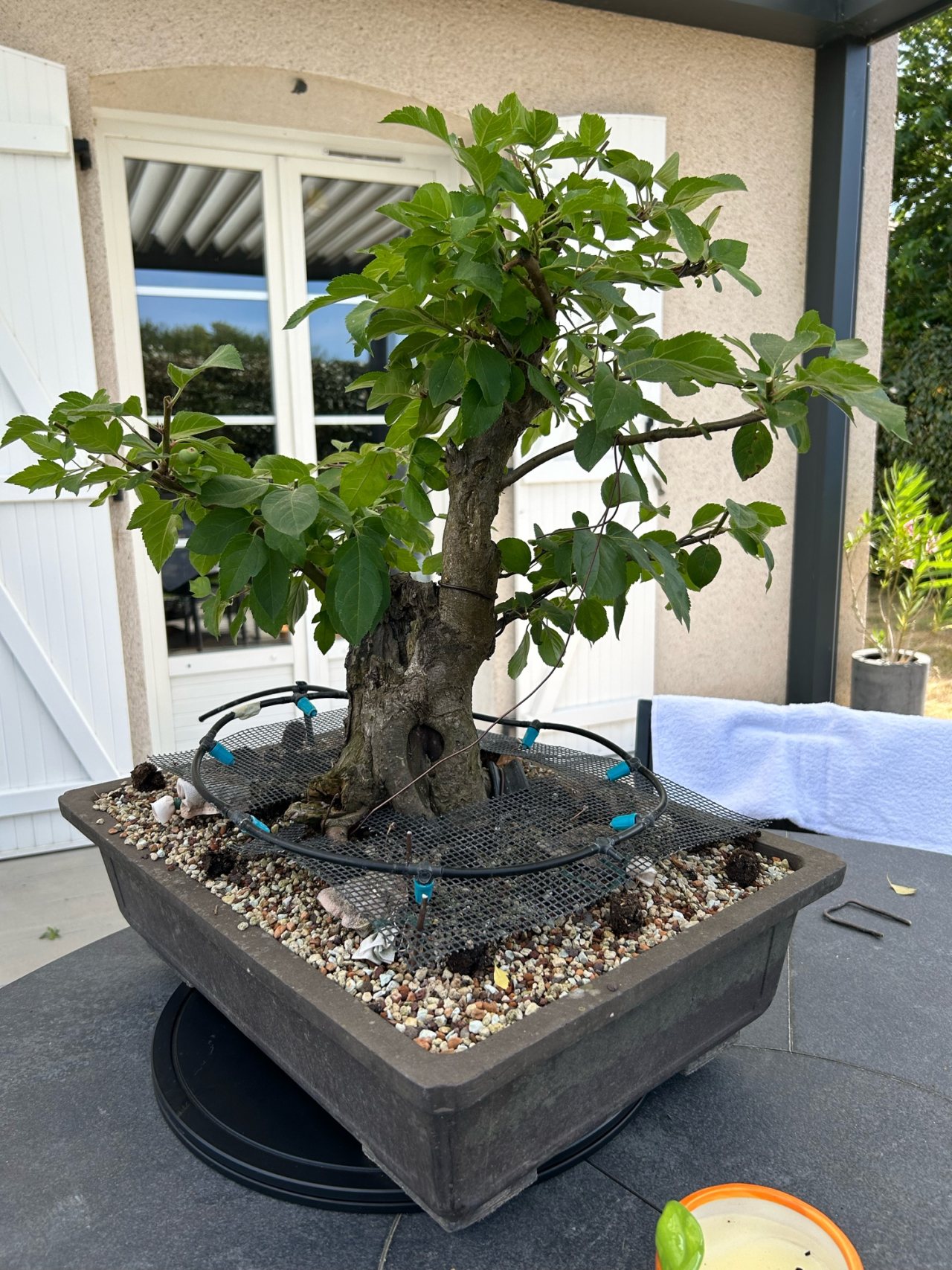 Photo 8