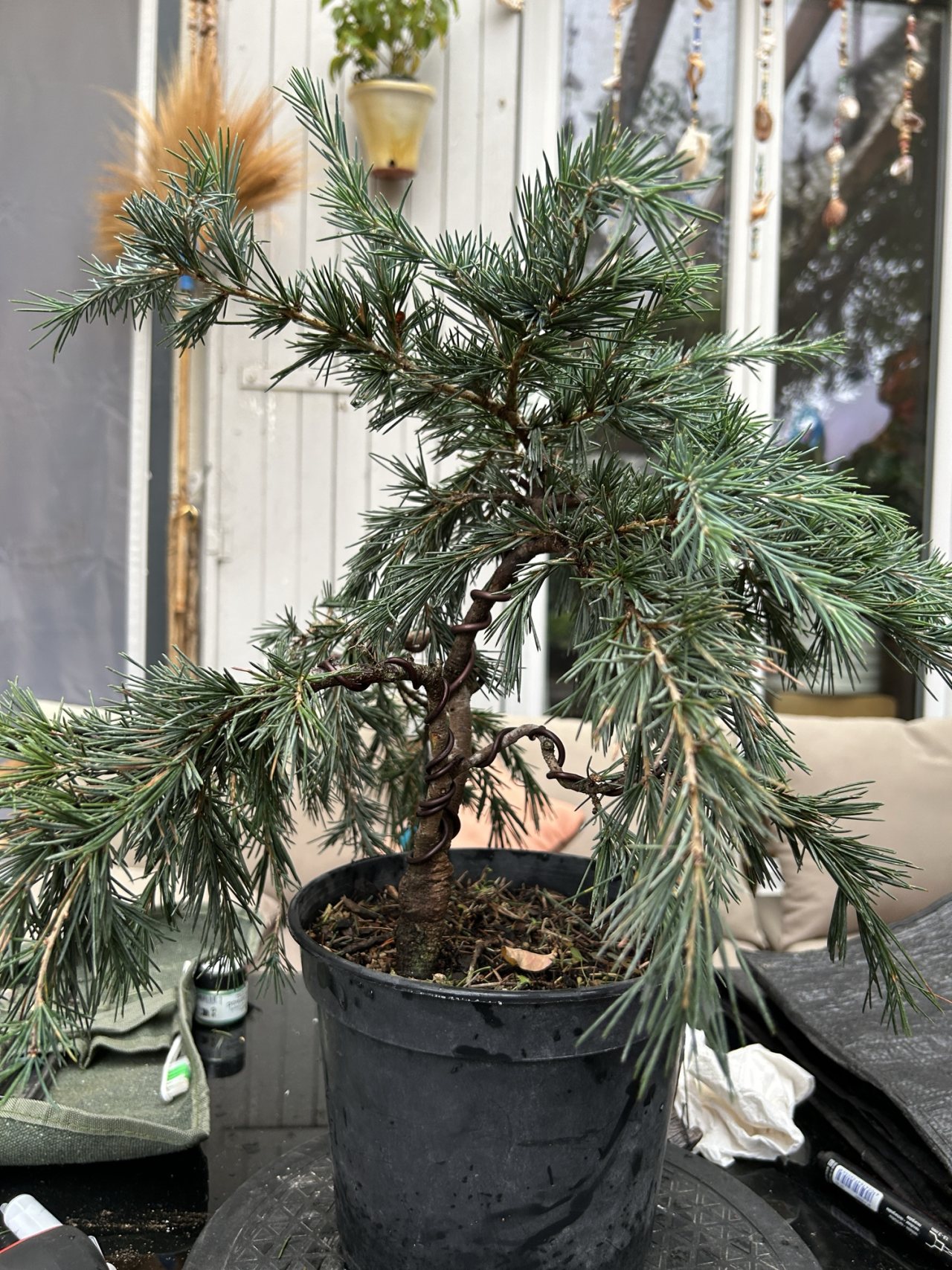 Photo 14