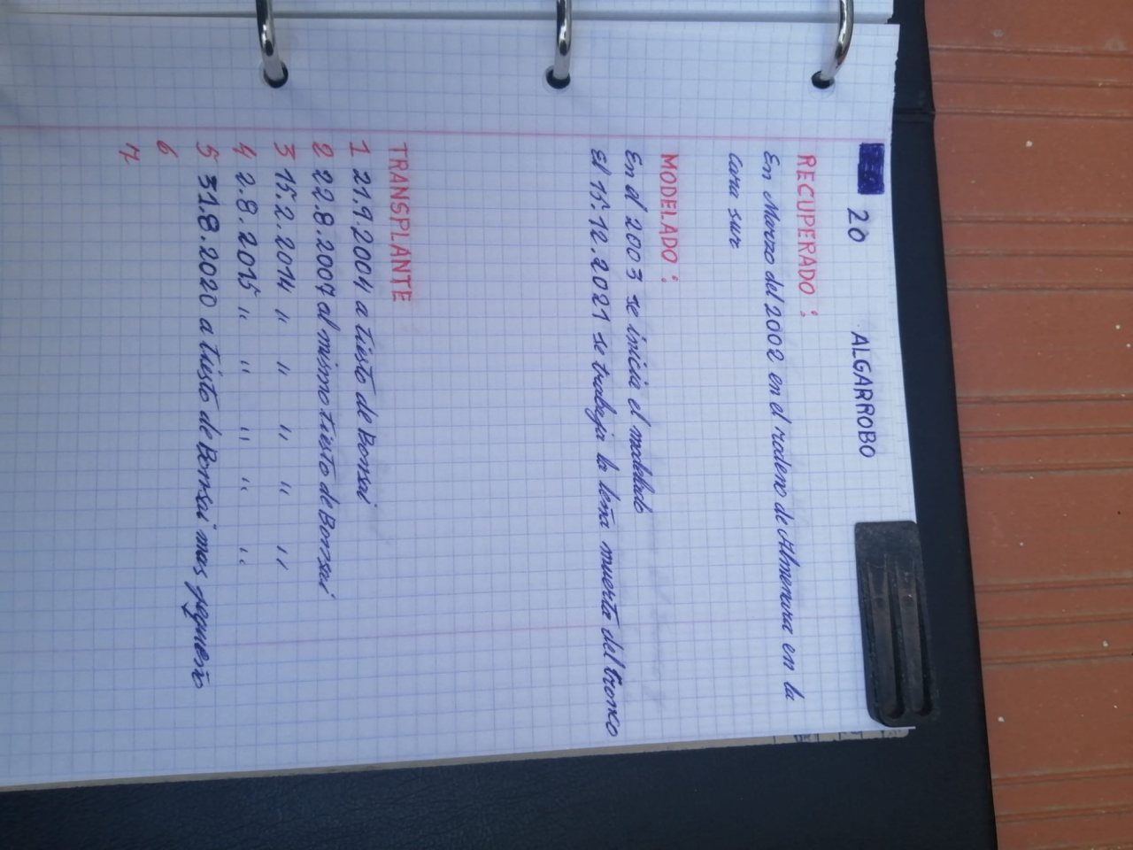 Photo 9