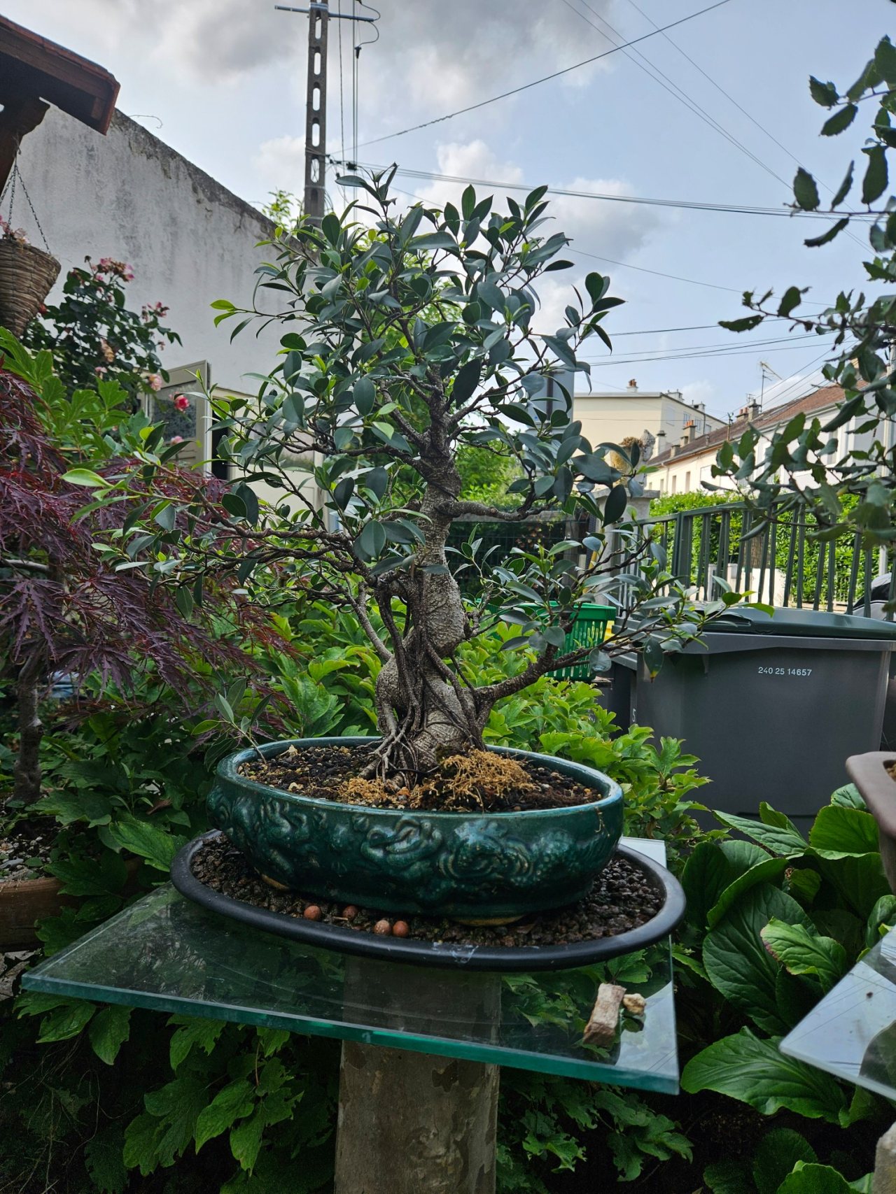 Photo 2