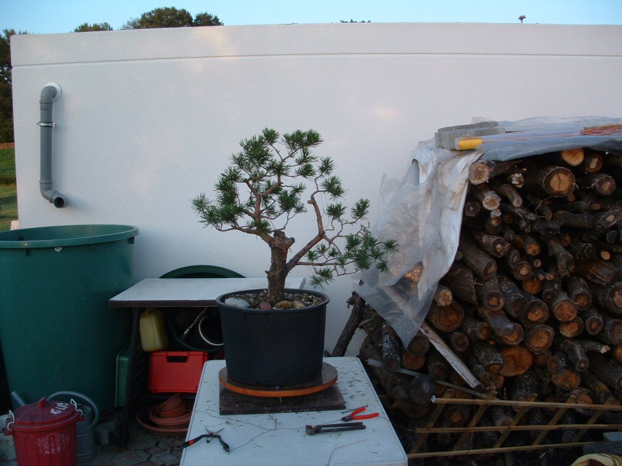 Photo 4