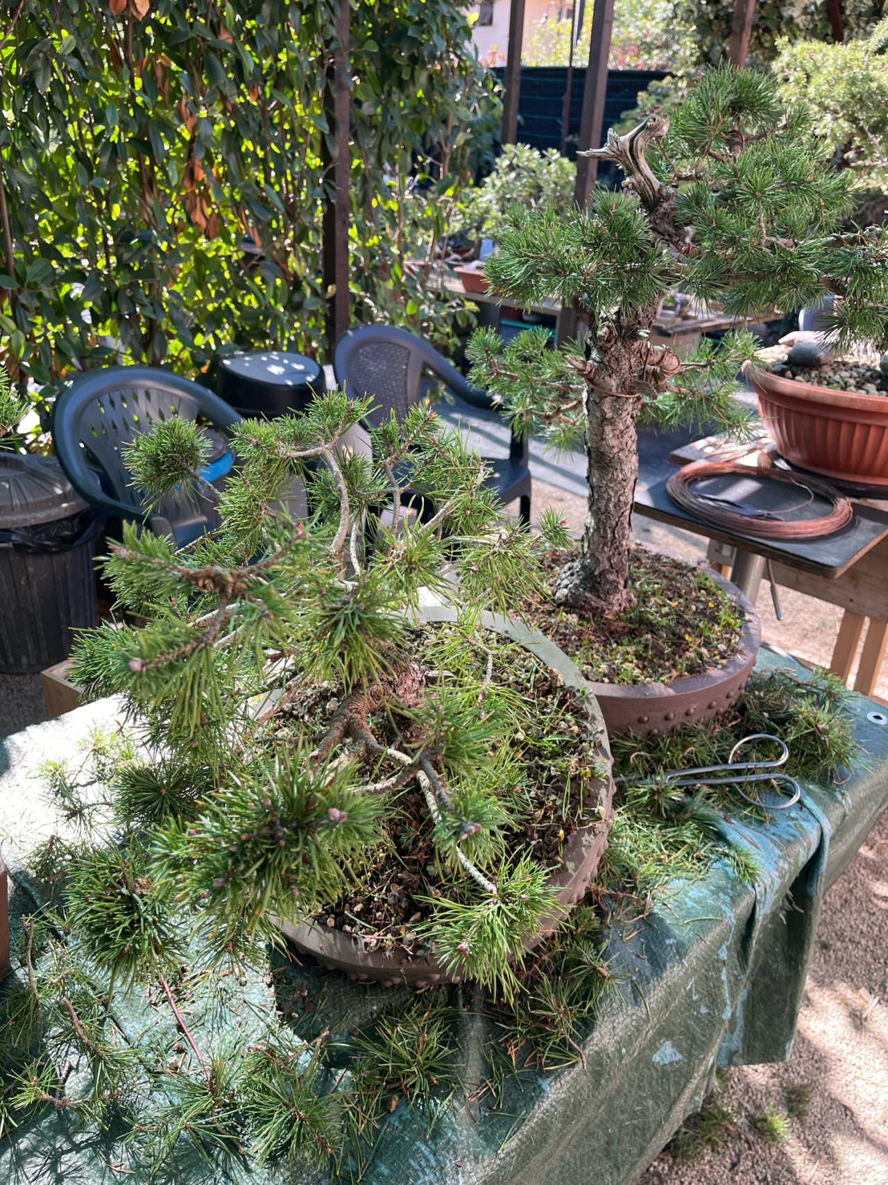 Photo 17