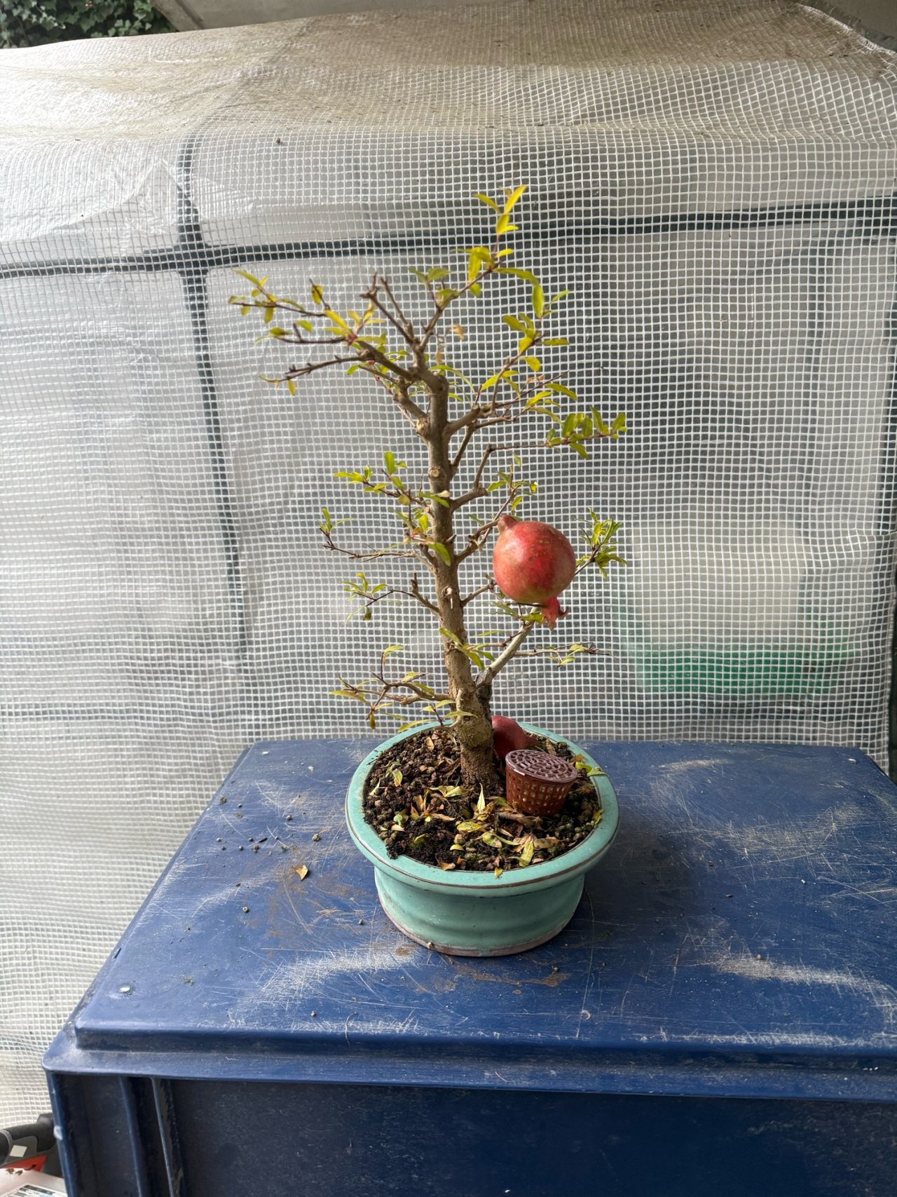 Photo 13