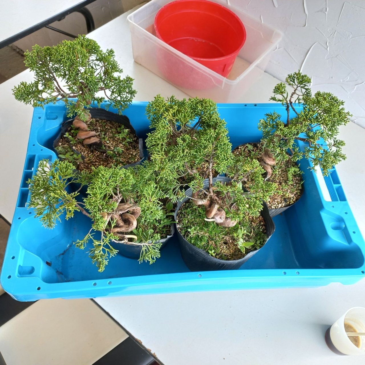 Photo 14