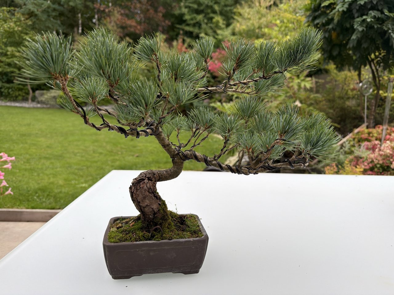 Photo 5